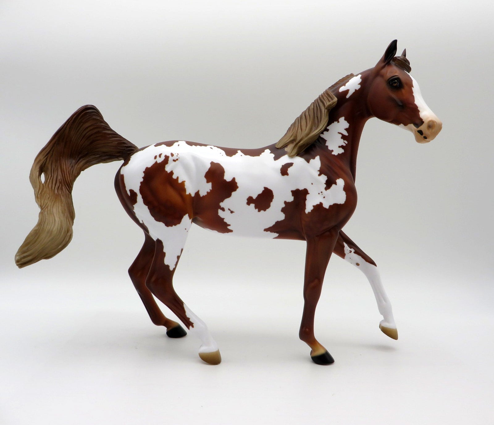 Coco-LE-5 Chestnut Pinto Arabian Mare 5/14/21