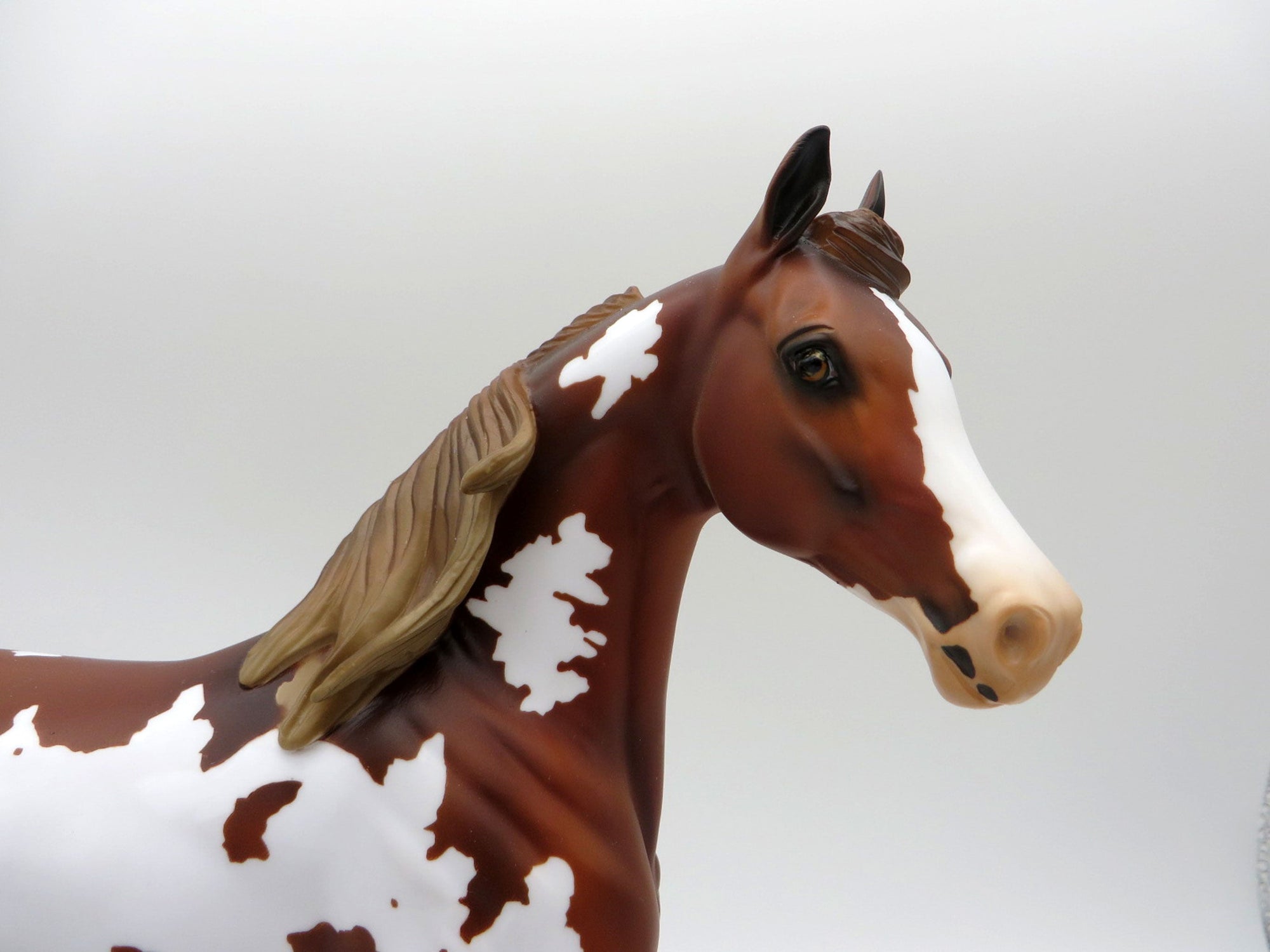 Coco-LE-5 Chestnut Pinto Arabian Mare 5/14/21