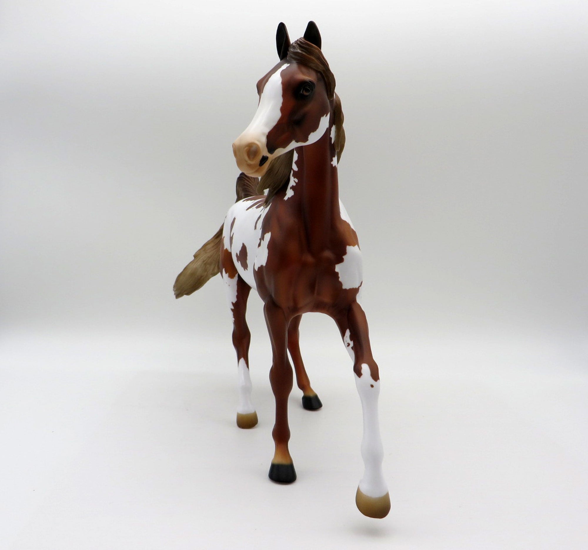 Coco-LE-5 Chestnut Pinto Arabian Mare 5/14/21