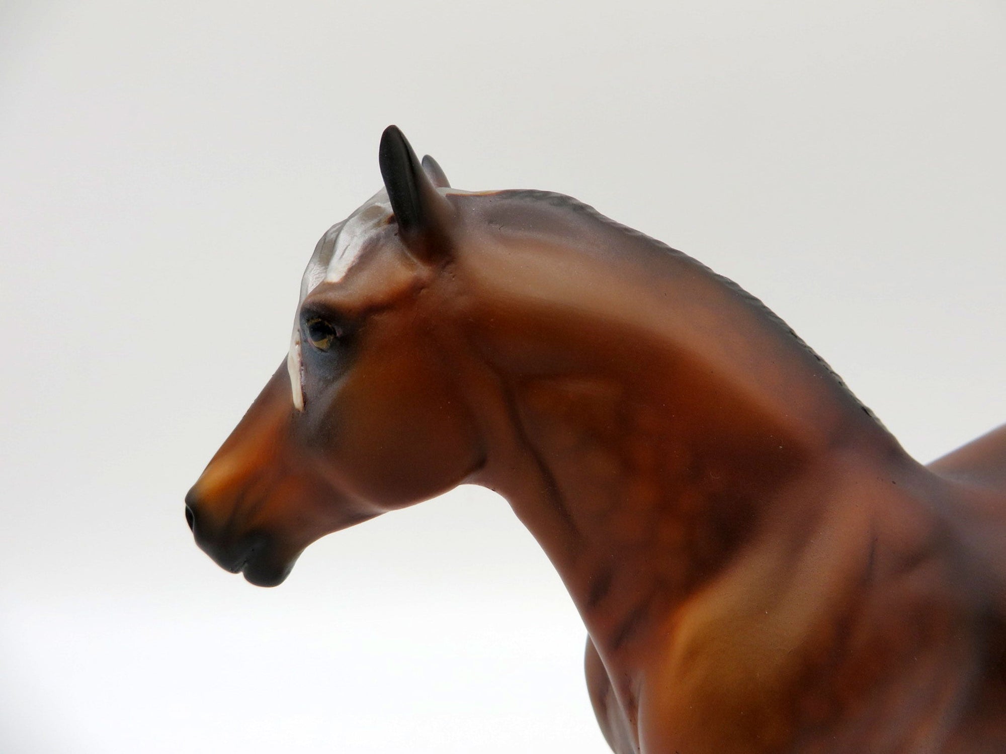 Coen-OOAK Dapple Liver Chestnut Pebbles Drafter Painted By Audrey Dixon  EQ 21