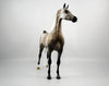 Cole Trickle-OOAK Dapple Grey Arabian Painted By Sheryl Leisure 1/15/21