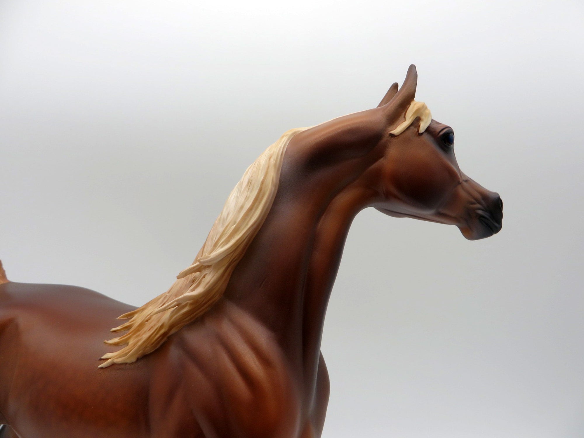 Columbia-OOAK Chestnut Arabian  Painted By Caroline Boydston