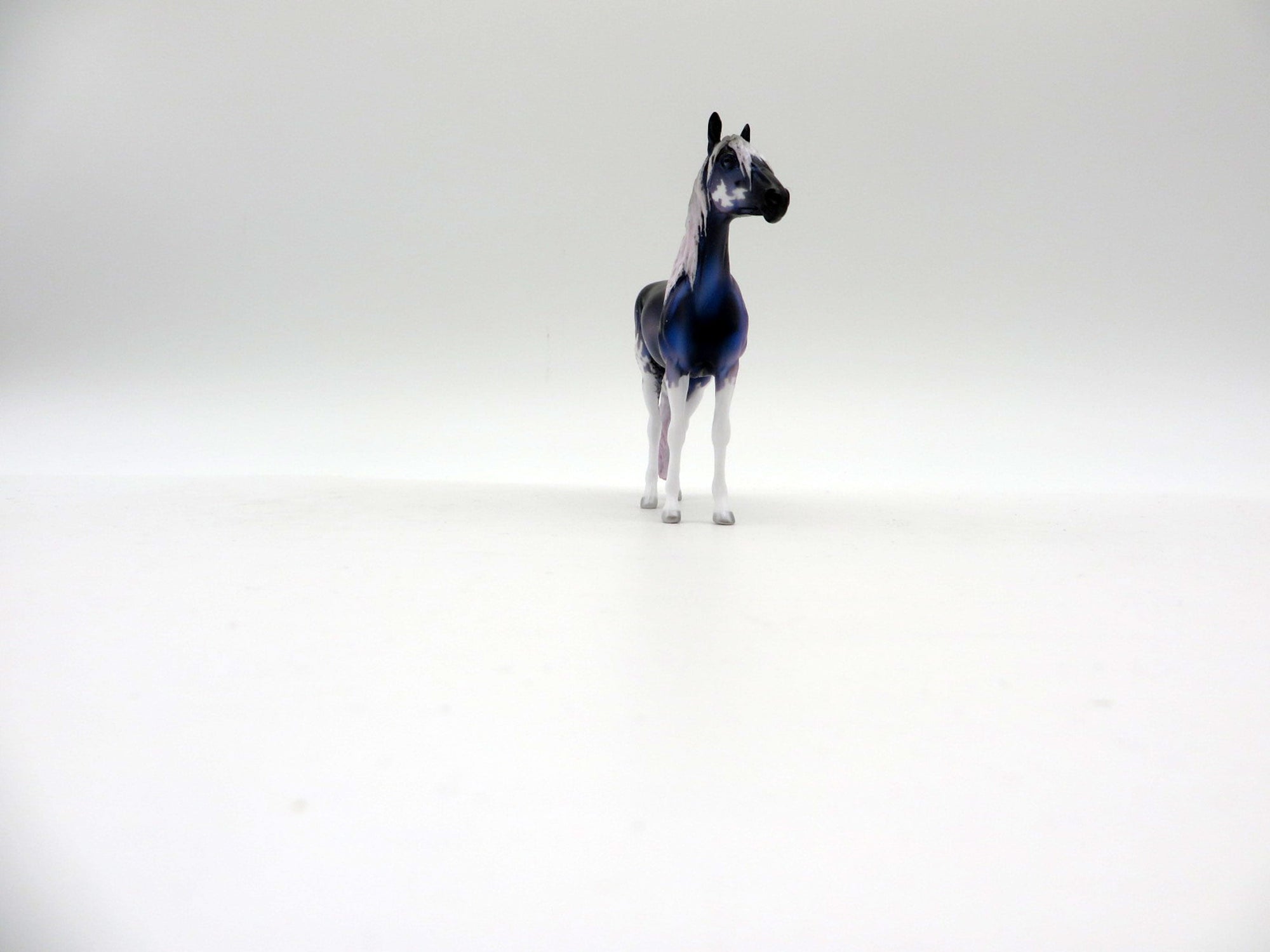 Comet-OOAK Deco Andalusian Chip Painted By Ellen Robbins  5/28/21