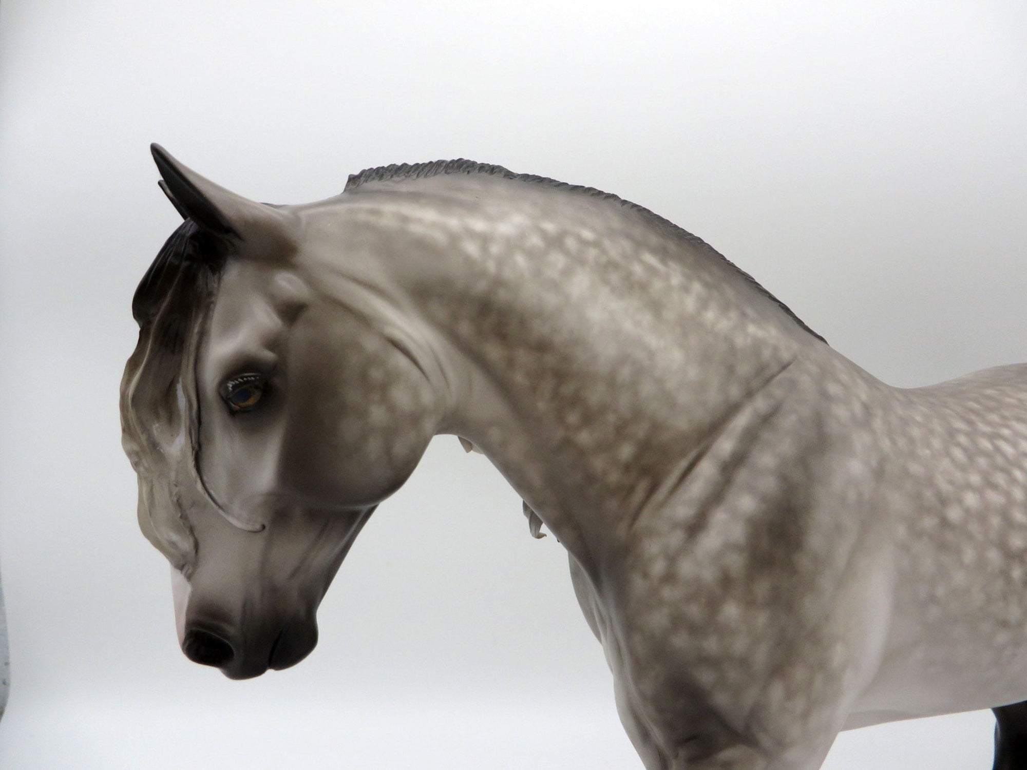 Commodore-OOAK Dapple Grey Irish Drafter Painted by Sheryl Leisure 11/29/21