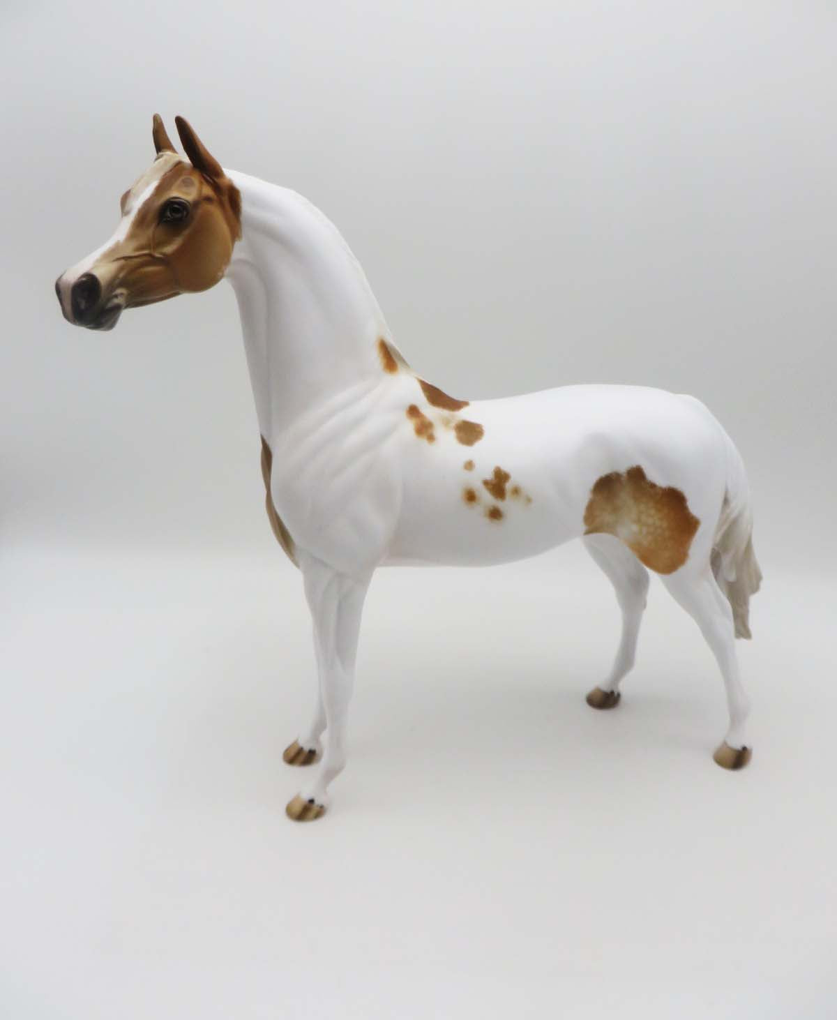Company Man - OOAK - Dappled Chestnut Pinto Arabian by Julie Keim - SHCF23