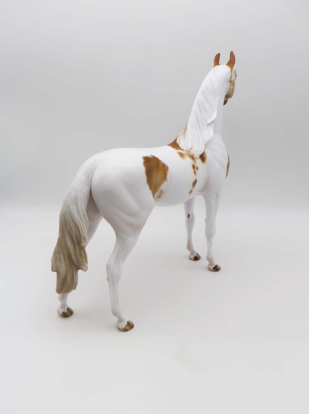 Company Man - OOAK - Dappled Chestnut Pinto Arabian by Julie Keim - SHCF23