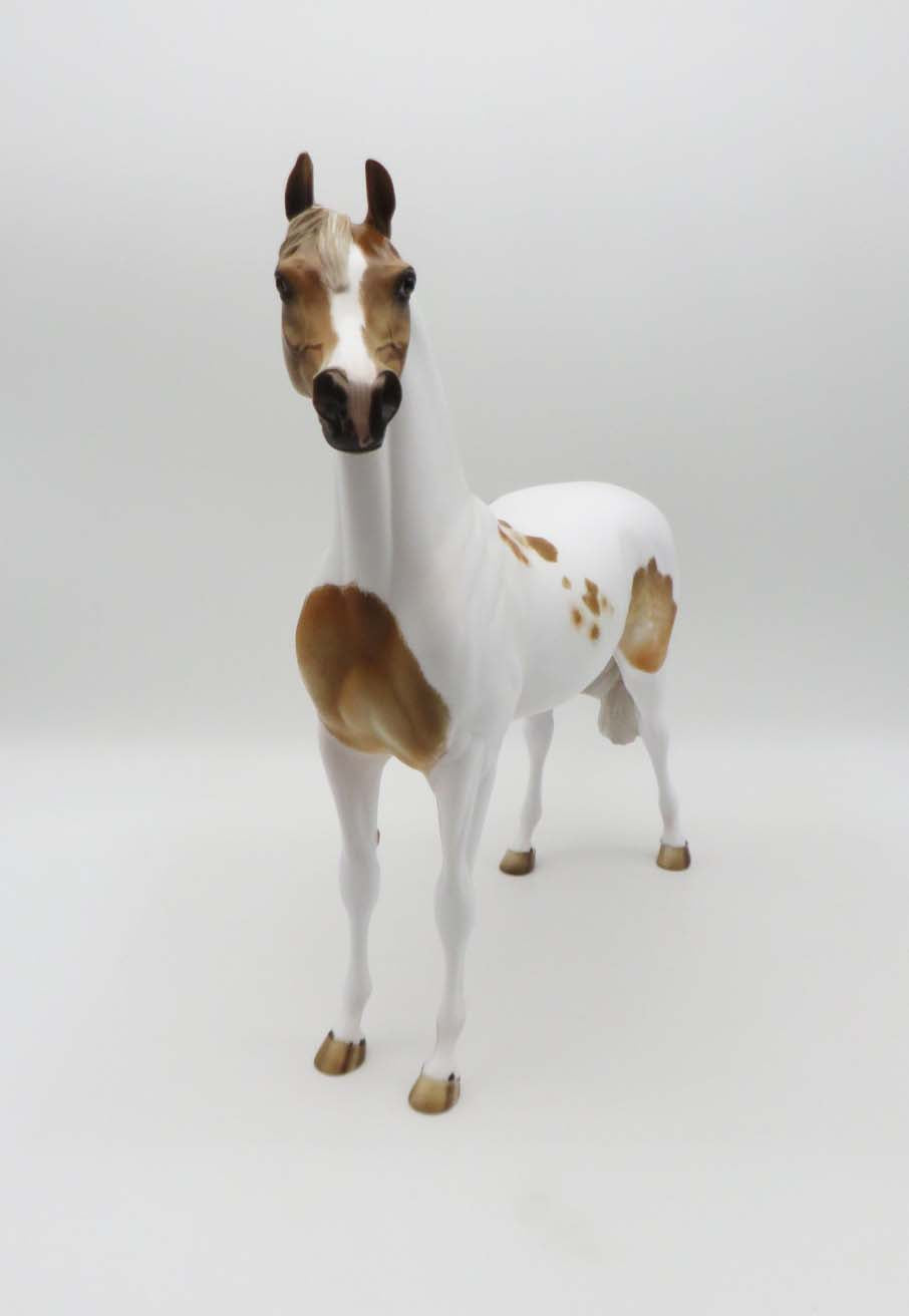 Company Man - OOAK - Dappled Chestnut Pinto Arabian by Julie Keim - SHCF23
