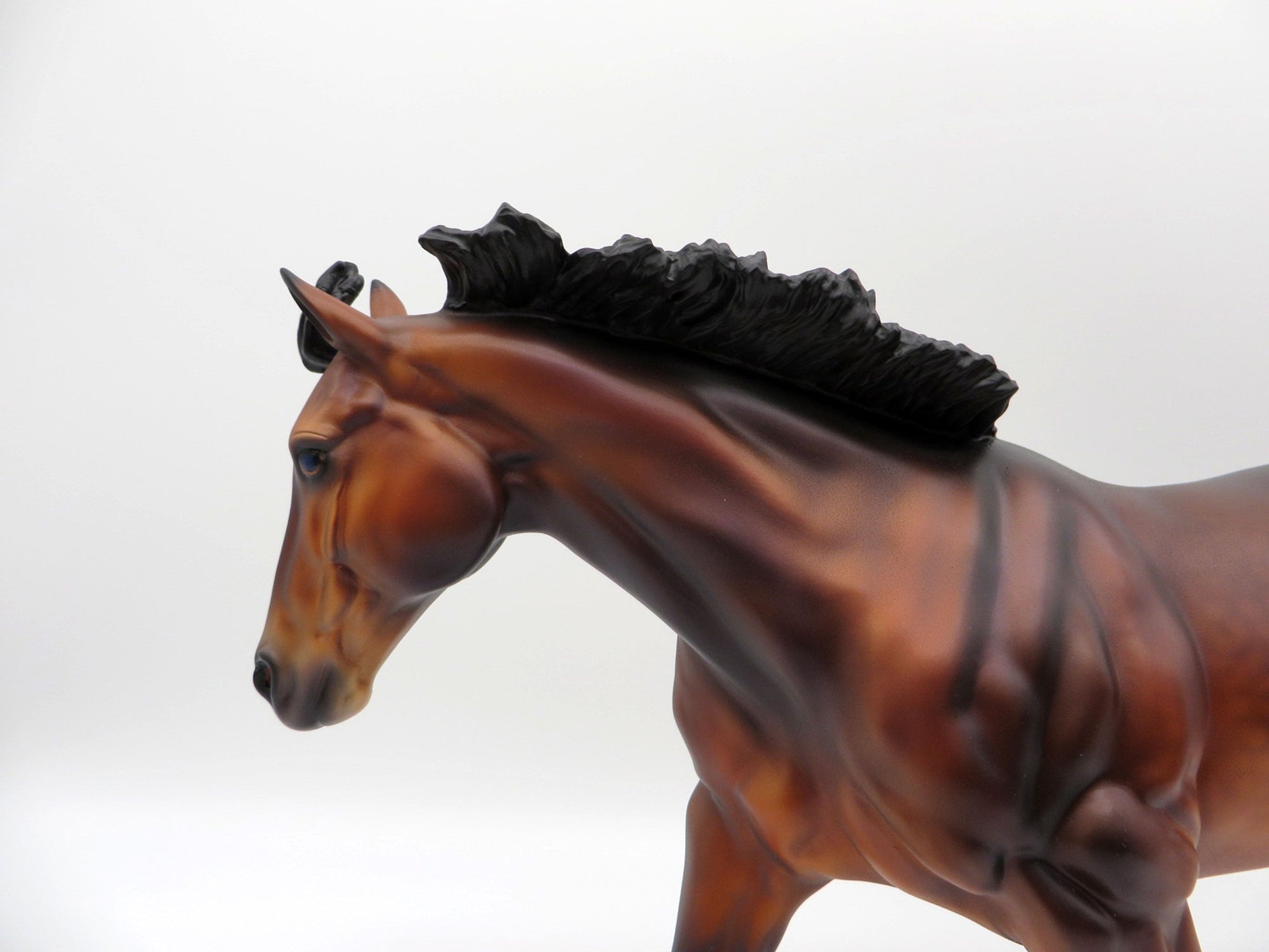 Congo-OOAK Bay Running Stock Horse By Caroline Boydston 4/5/21