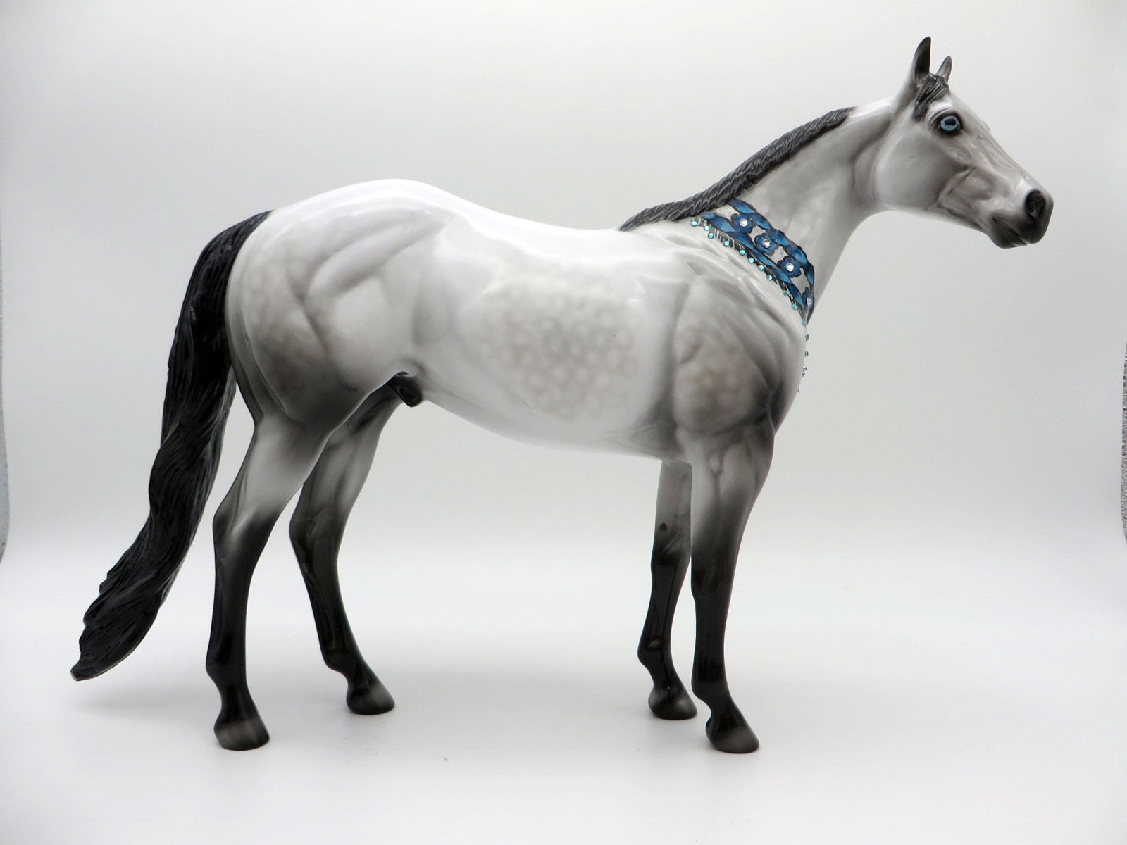 Congress | Dapple Gray Bling Collar ISH by Dawn Quick | 7/1/21