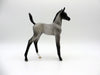 Constitution | Blue Roan Arab Foal by Dawn Quick | 7/1/21