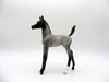 Constitution | Blue Roan Arab Foal by Dawn Quick | 7/1/21