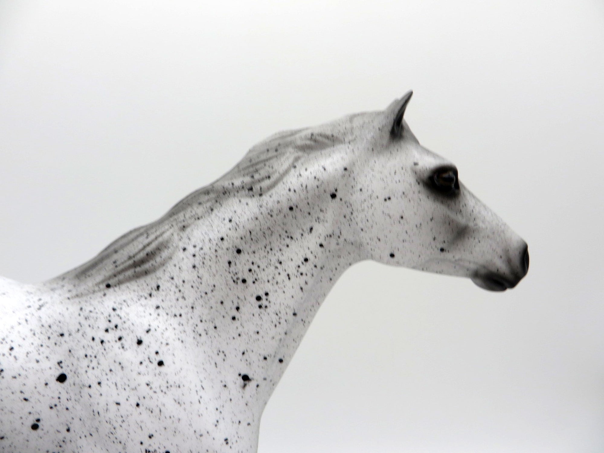 Cookies and Cream-OOAK Mustang Deco Painted By Audrey Dixon 7/23/21