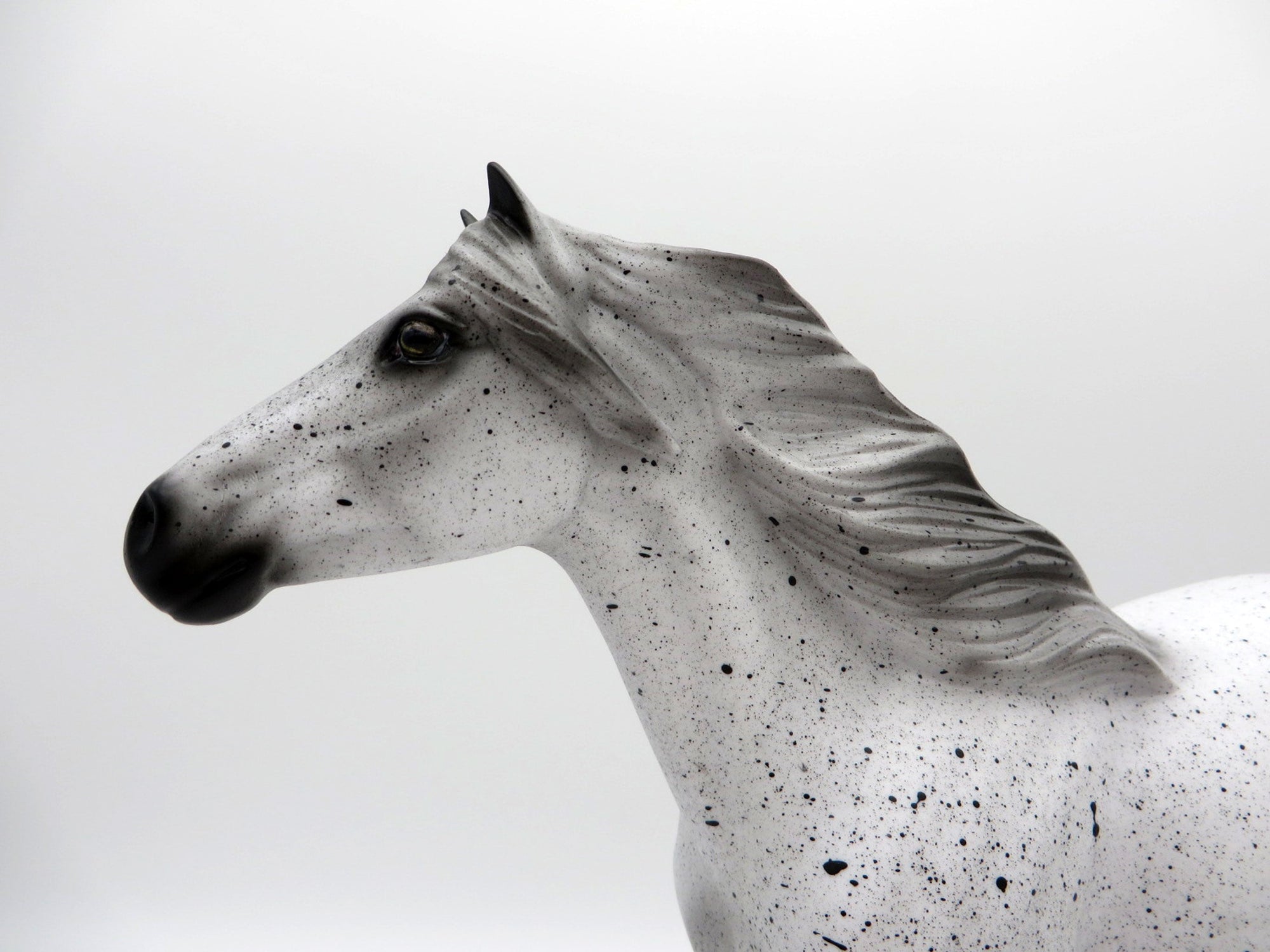 Cookies and Cream-OOAK Mustang Deco Painted By Audrey Dixon 7/23/21