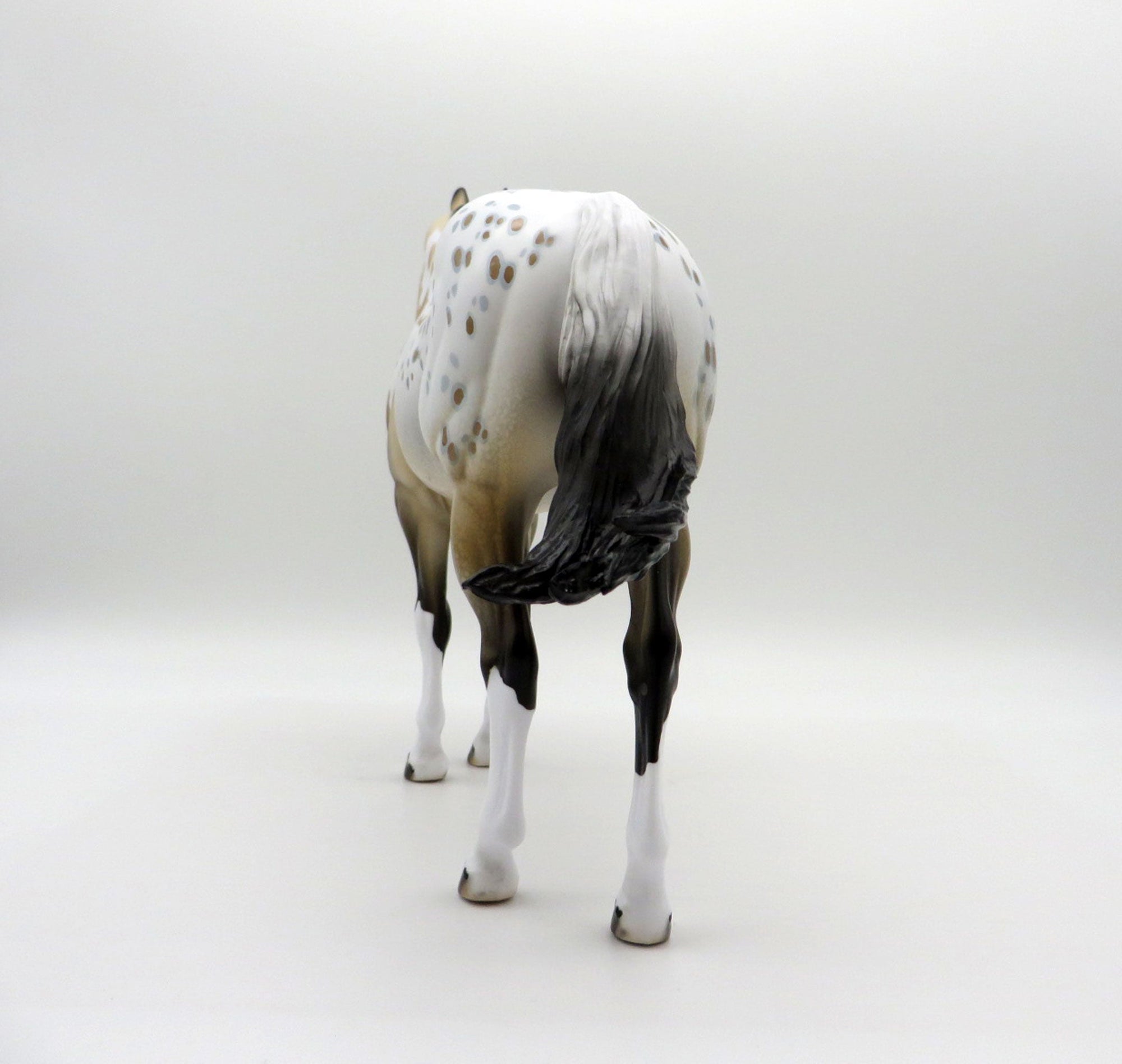 Cool Breeze-ISH Buckskin Appaloosa ISH SHCF 2021
