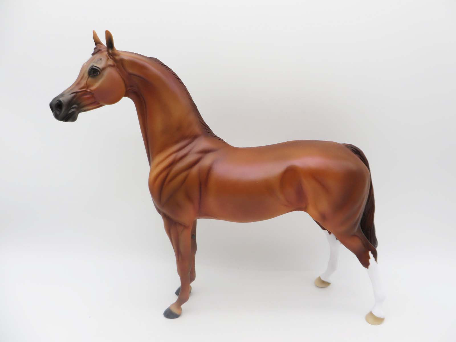 Cool Cat - OOAK - Chestnut Arabian By Ellen Robbins- P&C 23