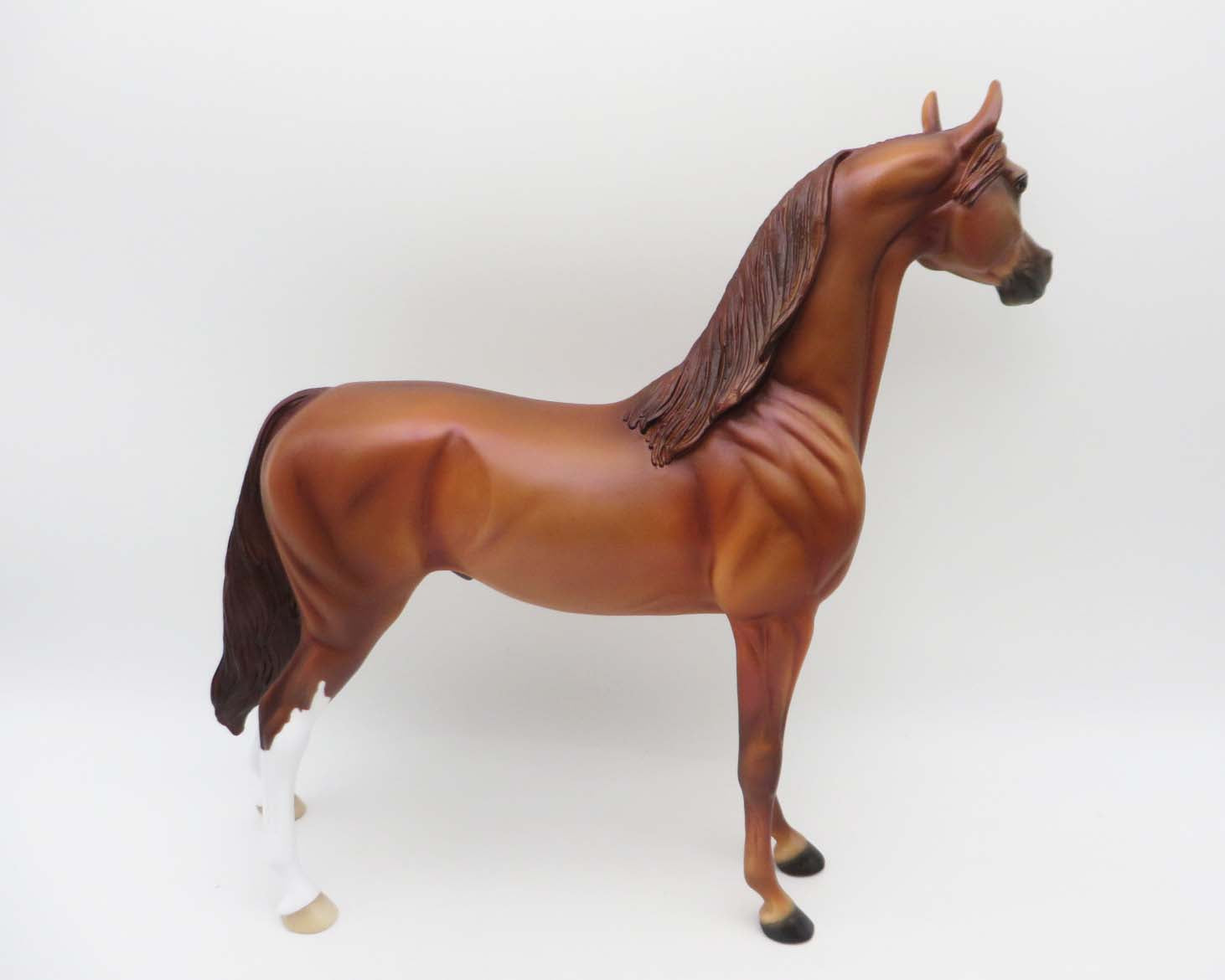 Cool Cat - OOAK - Chestnut Arabian By Ellen Robbins- P&amp;C 23