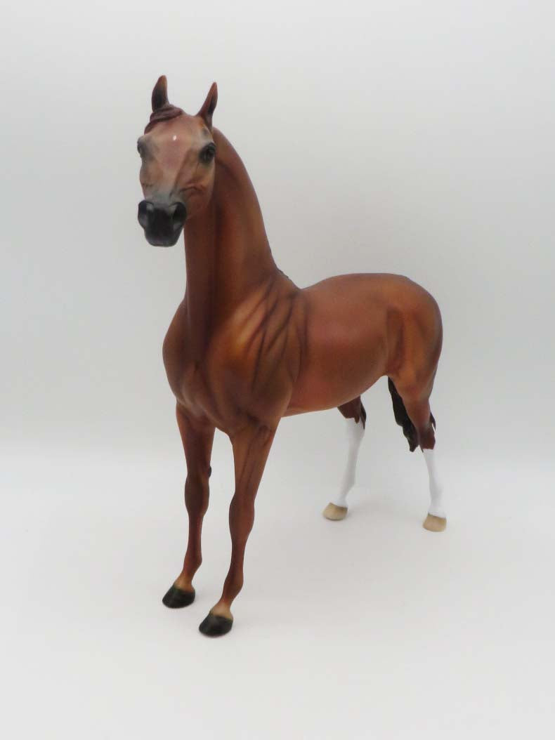 Cool Cat - OOAK - Chestnut Arabian By Ellen Robbins- P&amp;C 23