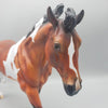 Coolio LE15 SHORT MANE Running Stock Horse By Angela Marleau EQ23