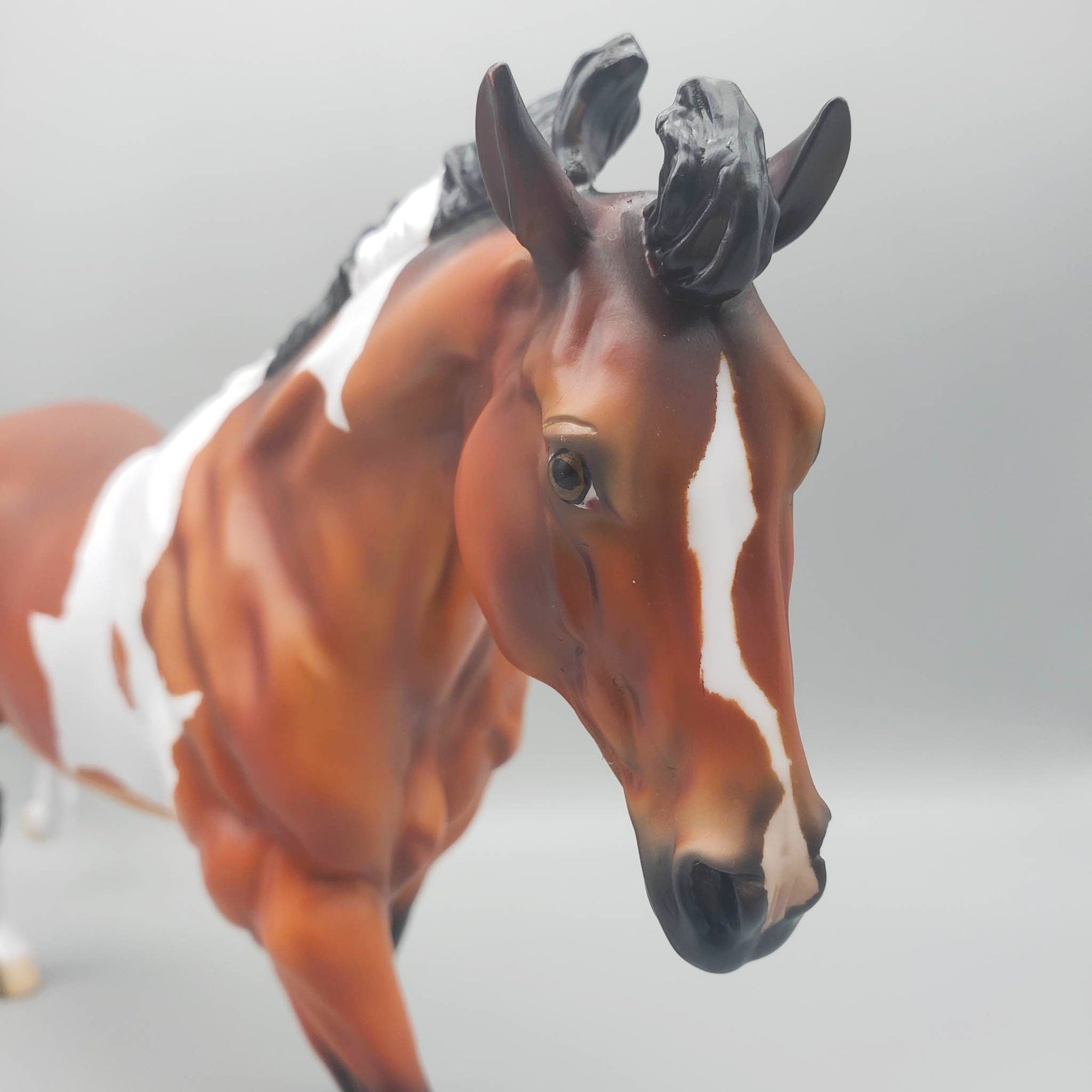 SAMPLE of Coolio SHORT MANE Running Stock Horse By Angela Marleau