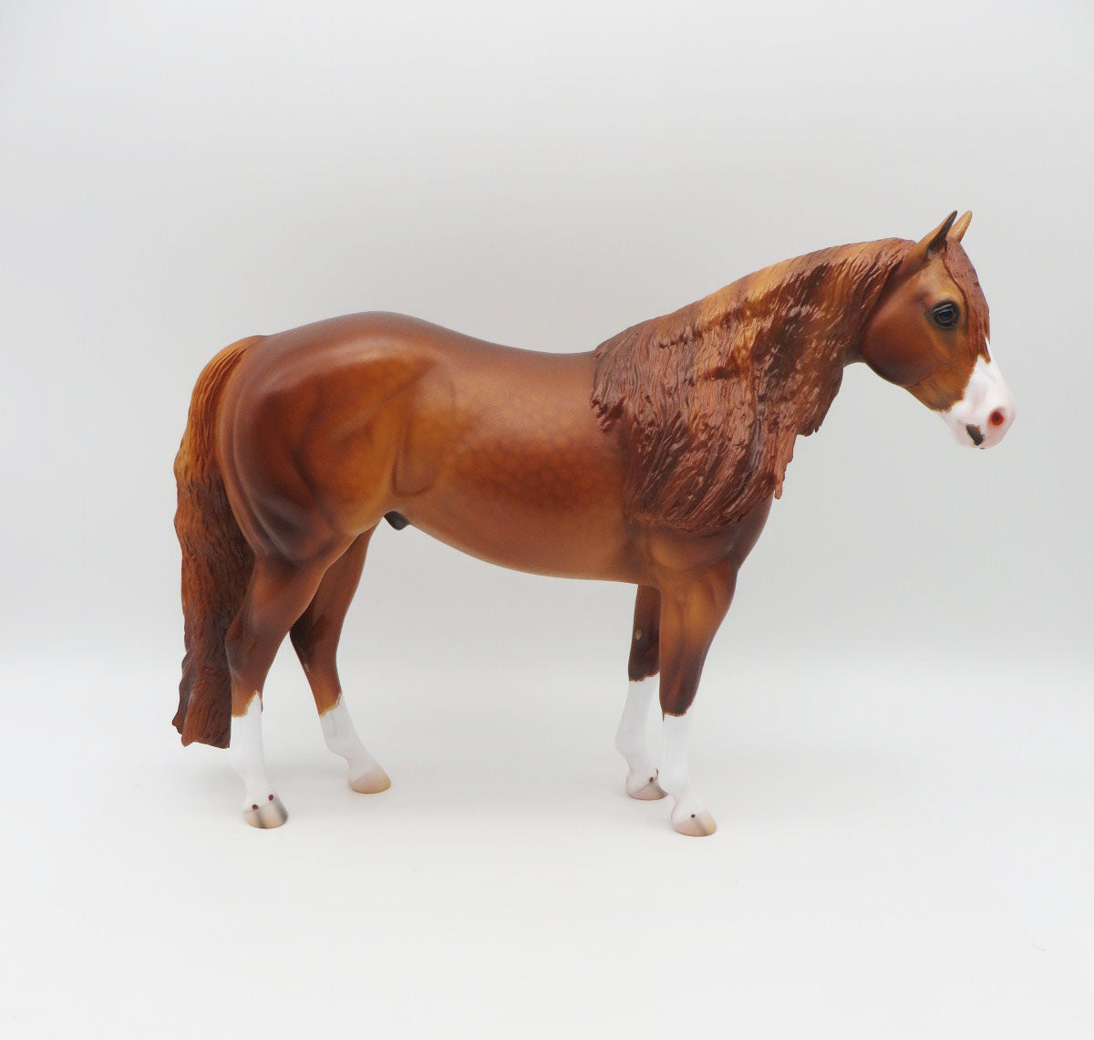 Copeland - OOAK - Dapple Chestnut Ideal Stock Horse By Caroline Boydston BEST OFFER 11/07/22