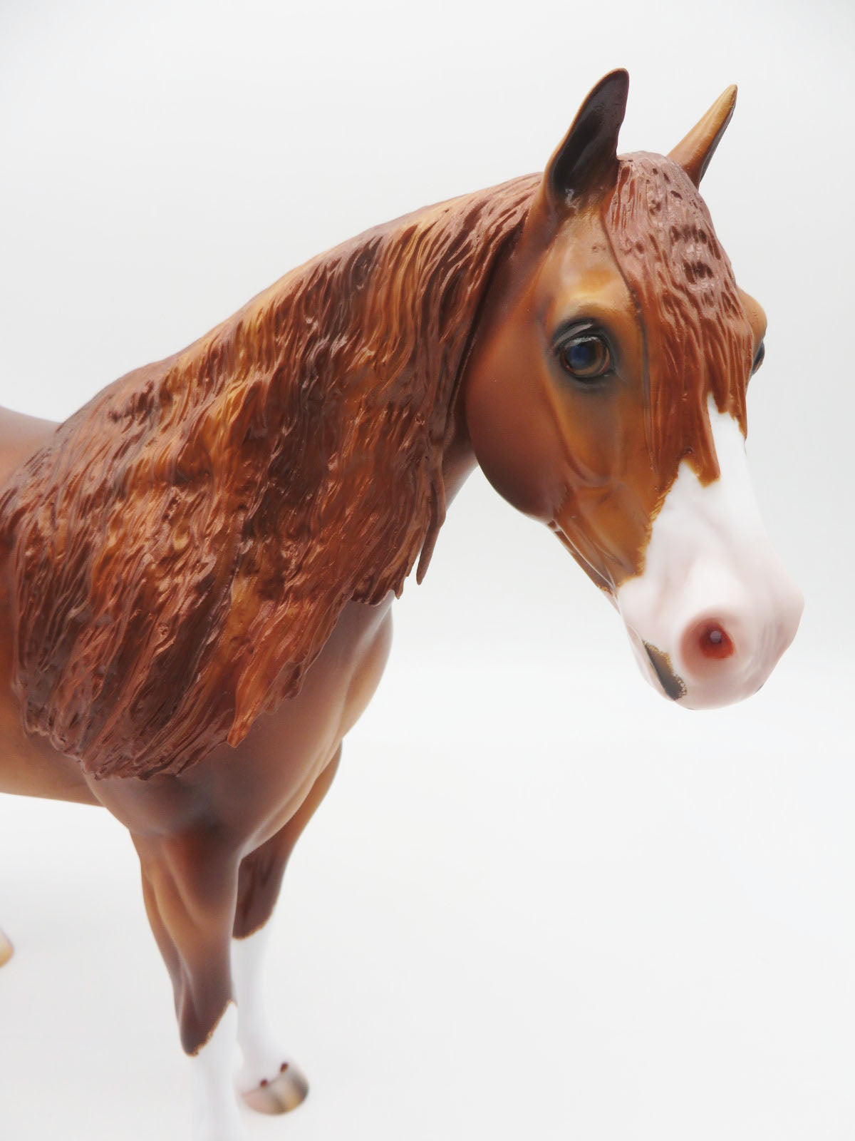 Copeland - OOAK - Dapple Chestnut Ideal Stock Horse By Caroline Boydston BEST OFFER 11/07/22