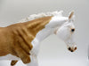 Coreopsis-OOAK Palomino Splash Running Stock Horse  SHCF 21