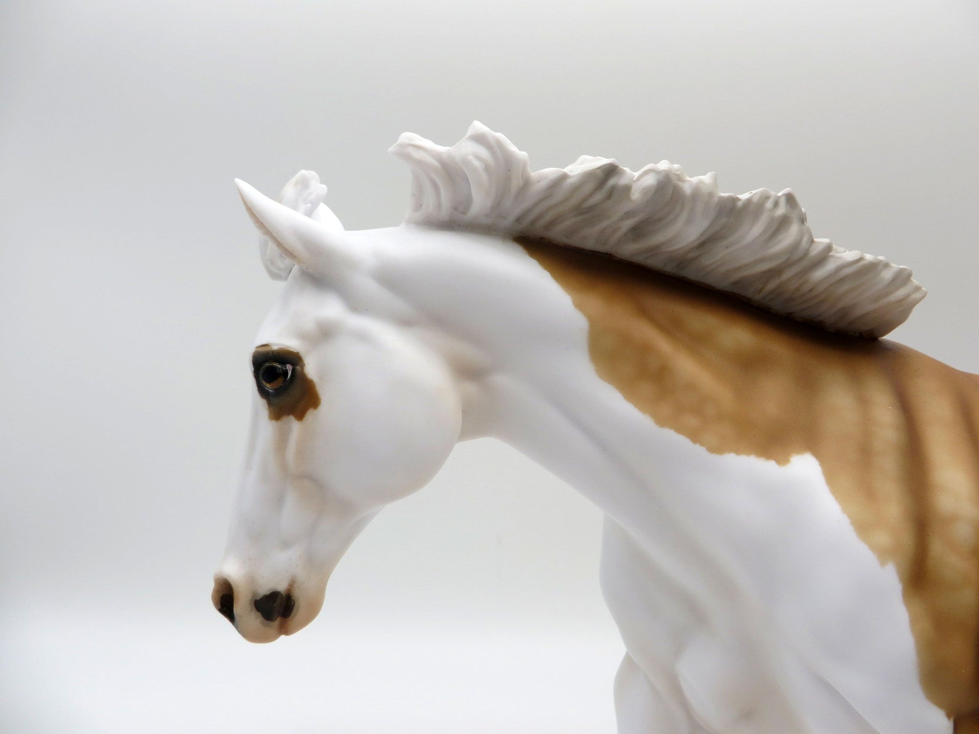 Coreopsis-OOAK Palomino Splash Running Stock Horse  SHCF 21