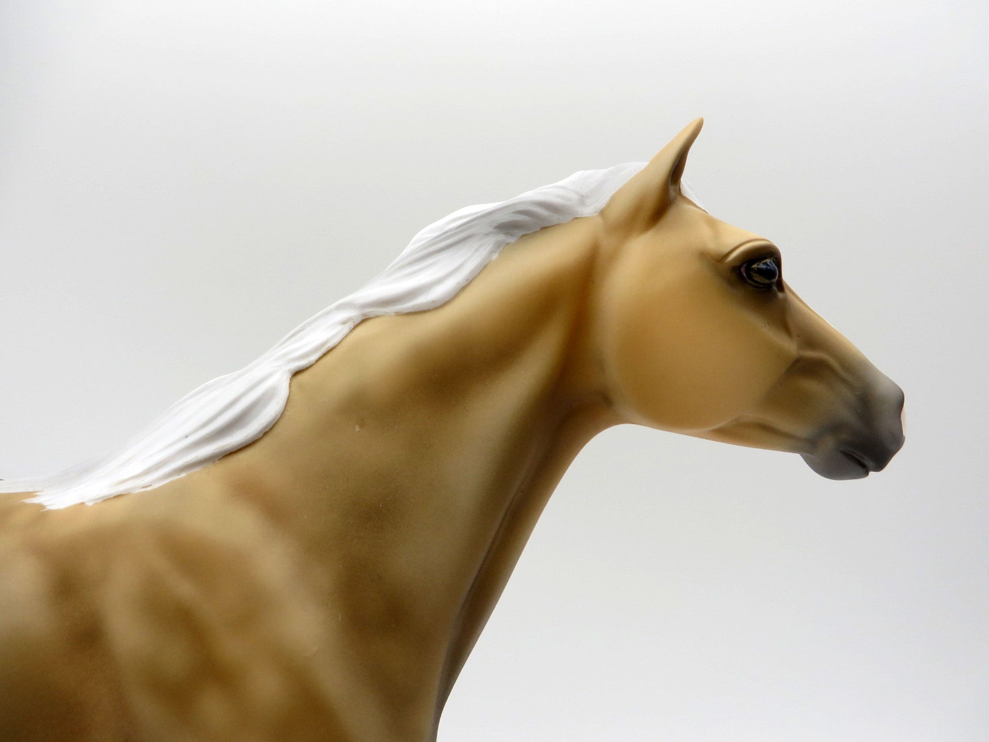 Corona-OOAK Sooty Palomino Pinto Mustang  SHCF 2021