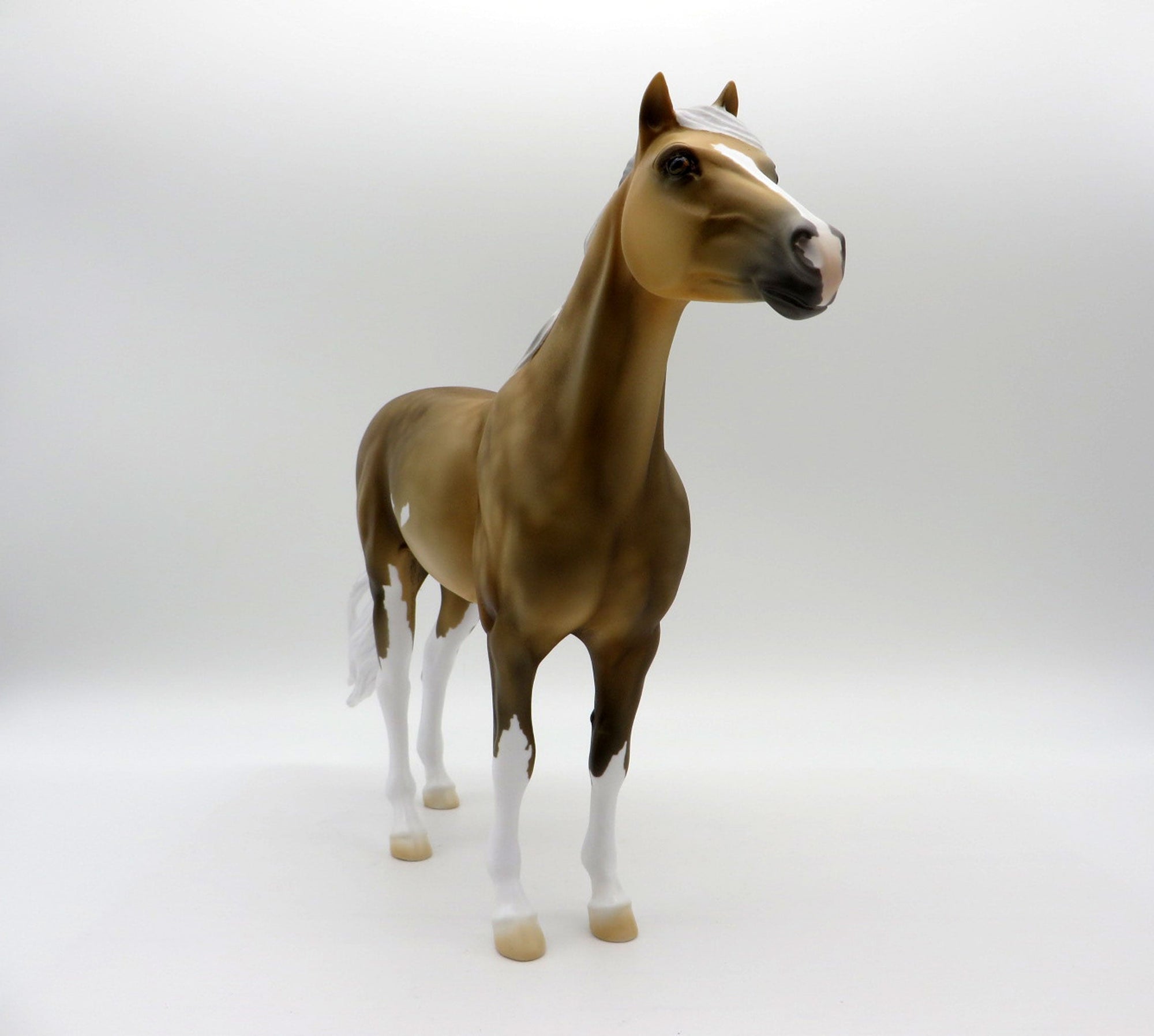 Corona-OOAK Sooty Palomino Pinto Mustang  SHCF 2021