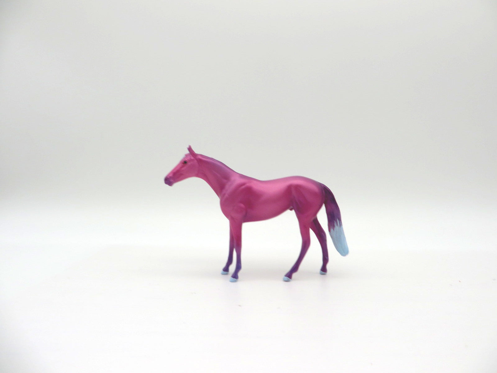 Cory-OOAK Deco Thoroughbred Chip Shark Week 7/12/21