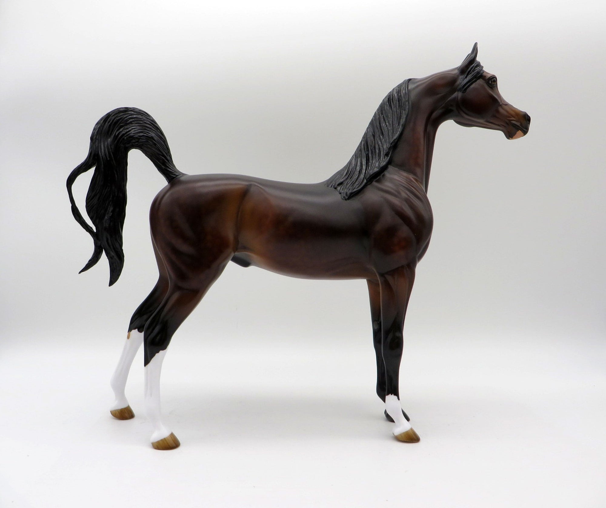 Cosentino-OOAK Dapple Bay Arabian Painted By Audrey Dixon 5/21/21