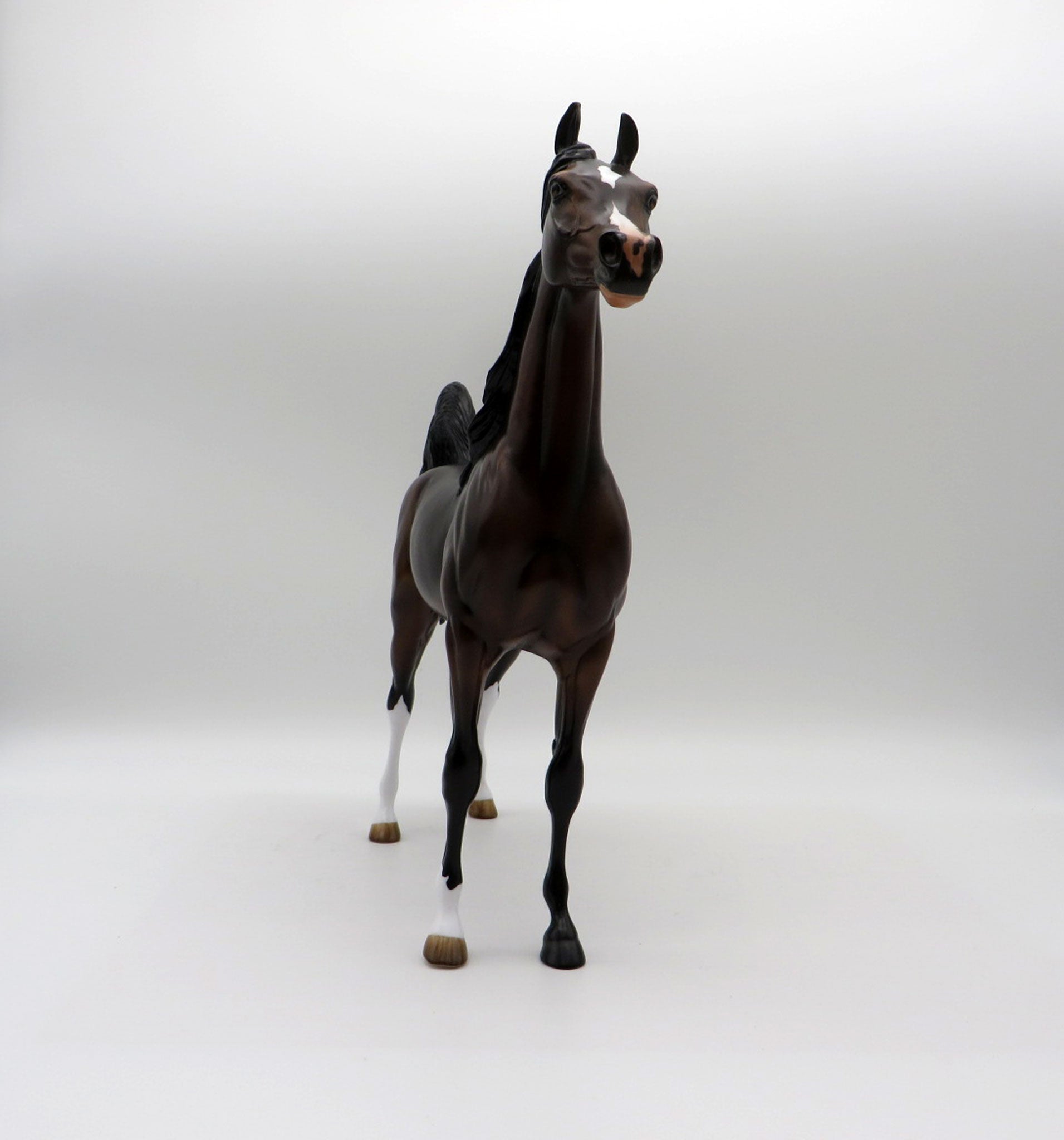 Cosentino-OOAK Dapple Bay Arabian Painted By Audrey Dixon 5/21/21