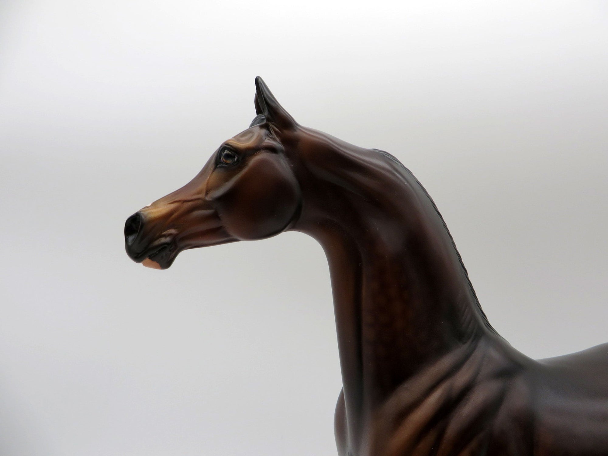 Cosentino-OOAK Dapple Bay Arabian Painted By Audrey Dixon 5/21/21