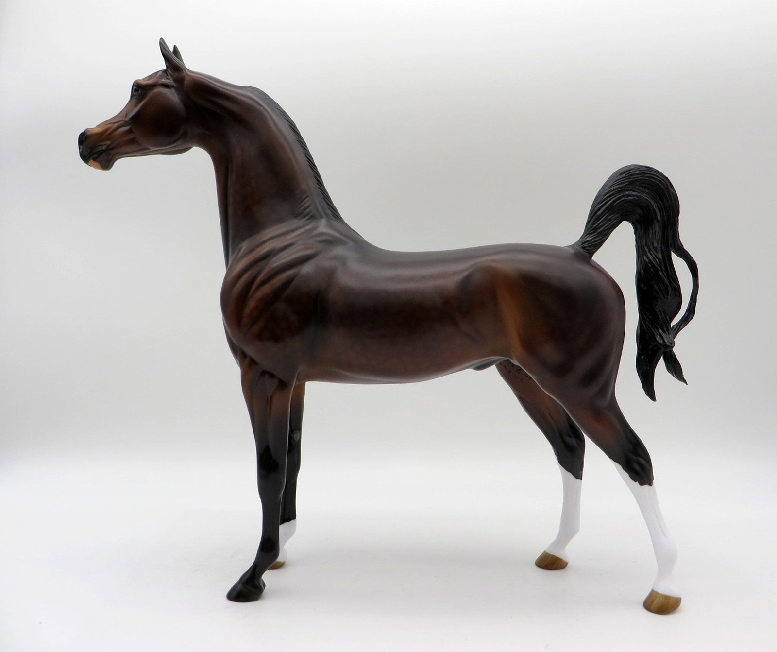 Cosentino-OOAK Dapple Bay Arabian Painted By Audrey Dixon 5/21/21