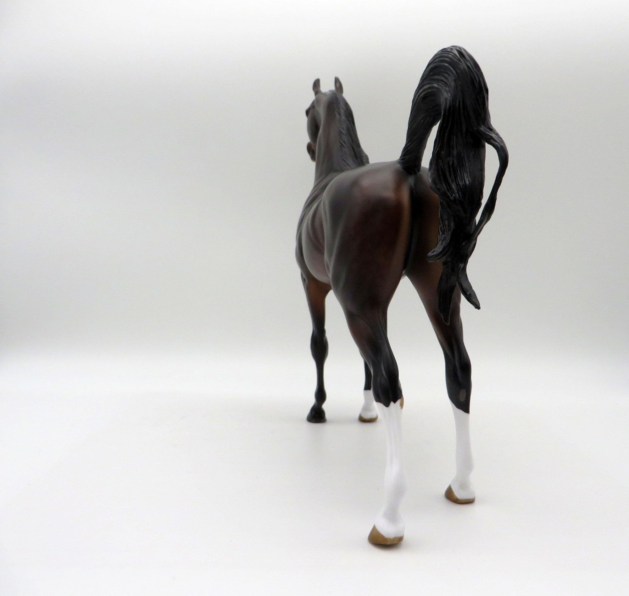 Cosentino-OOAK Dapple Bay Arabian Painted By Audrey Dixon 5/21/21