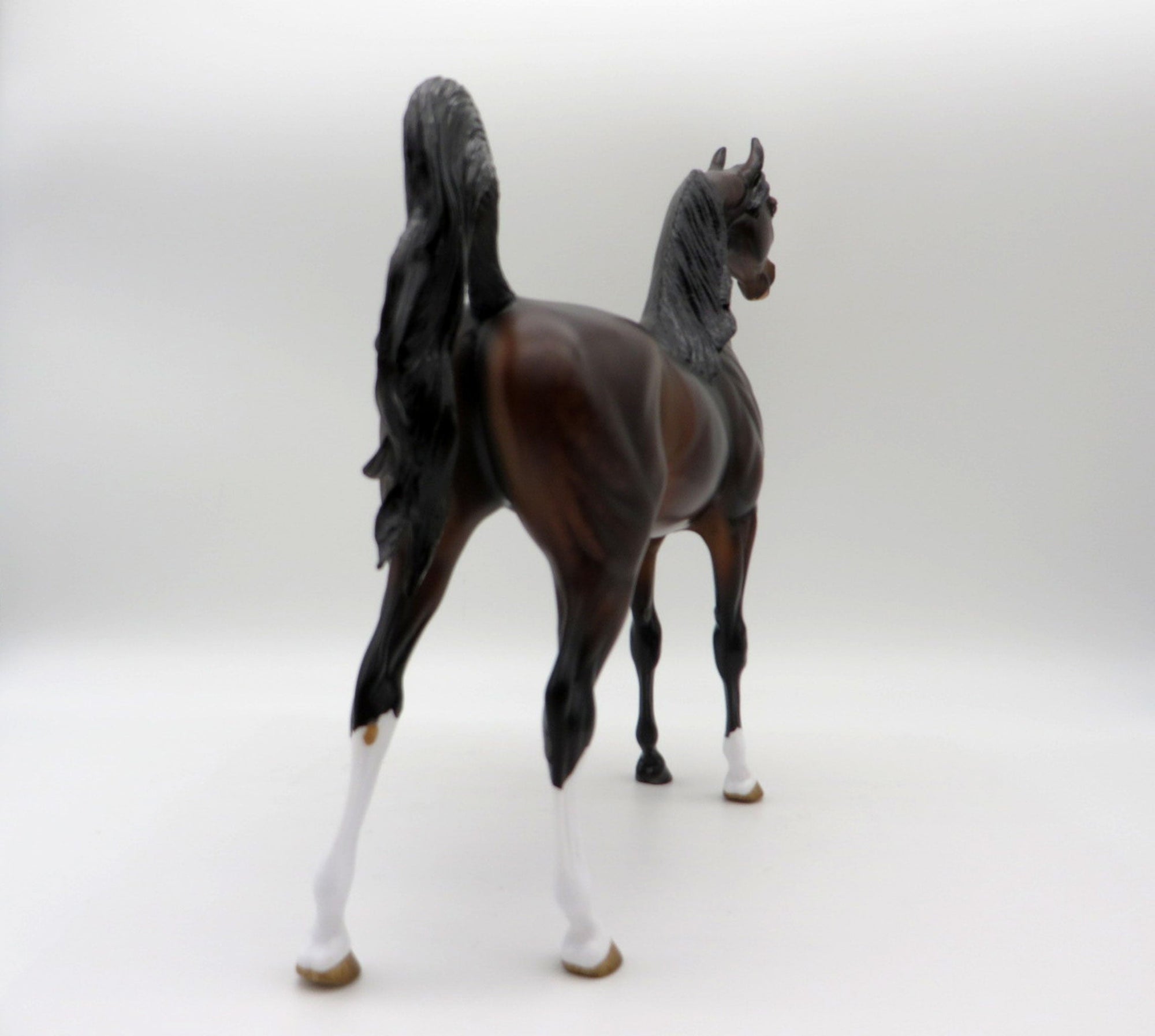 Cosentino-OOAK Dapple Bay Arabian Painted By Audrey Dixon 5/21/21