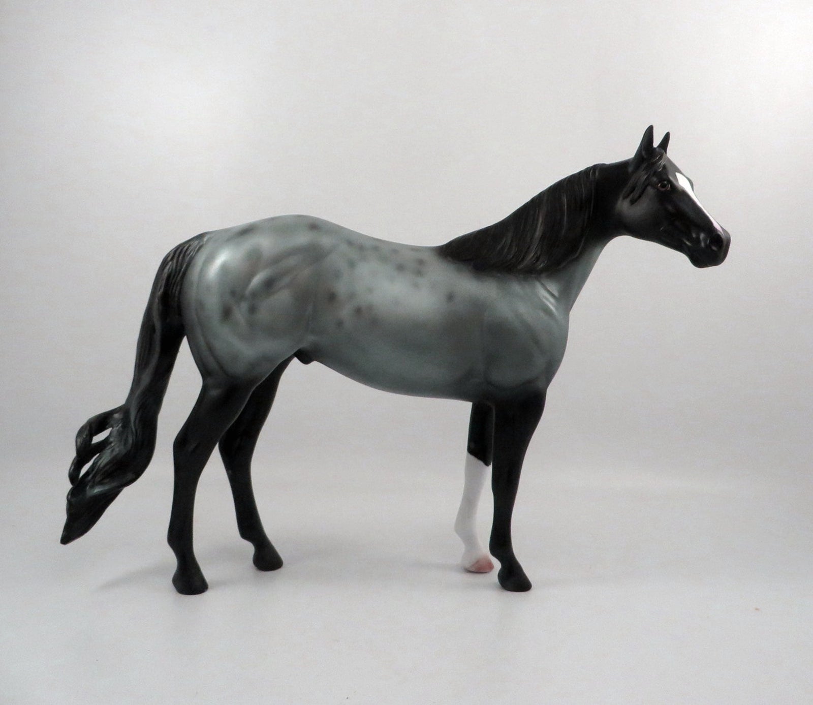 Cosmic Connection-OOAK Roan ISH 2/25/21