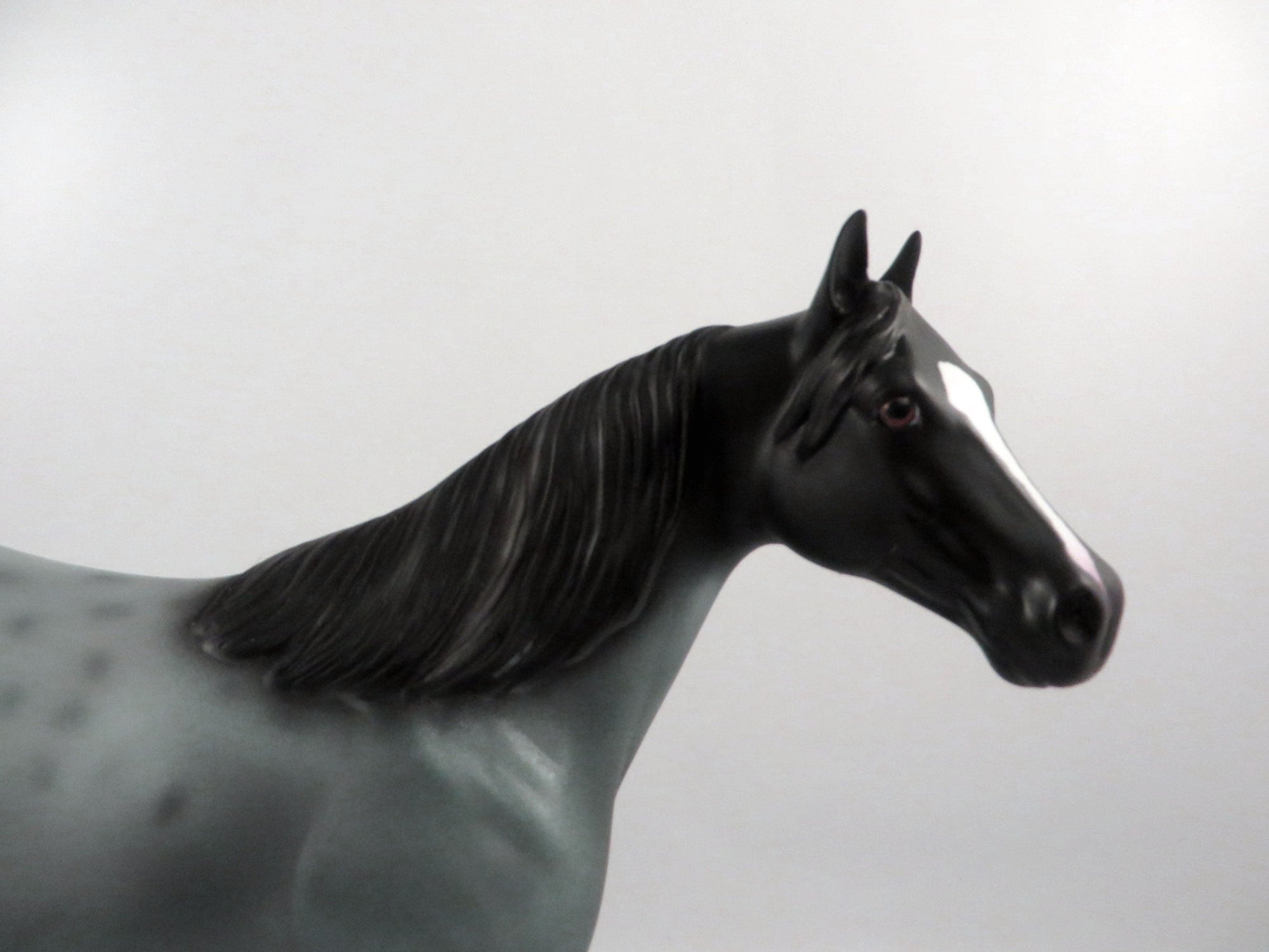 Cosmic Connection-OOAK Roan ISH 2/25/21