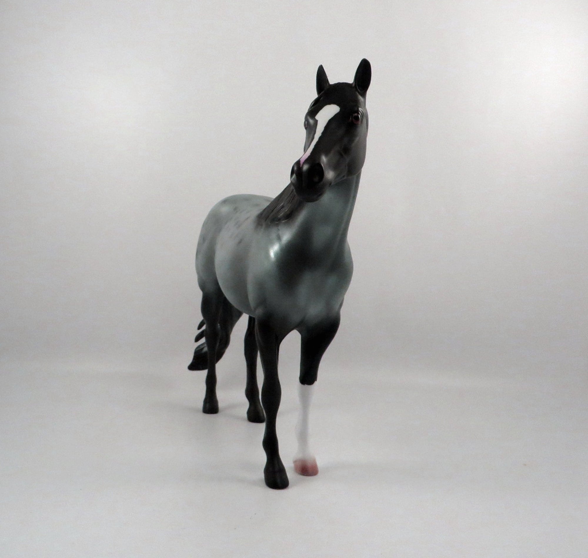 Cosmic Connection-OOAK Roan ISH 2/25/21