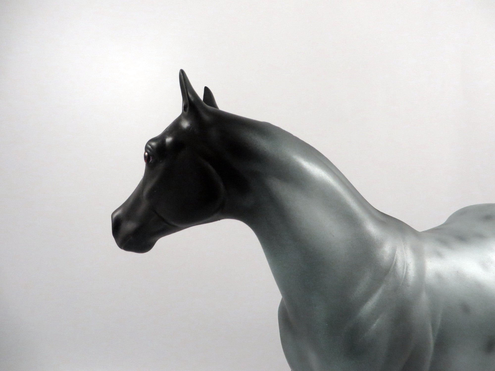 Cosmic Connection-OOAK Roan ISH 2/25/21