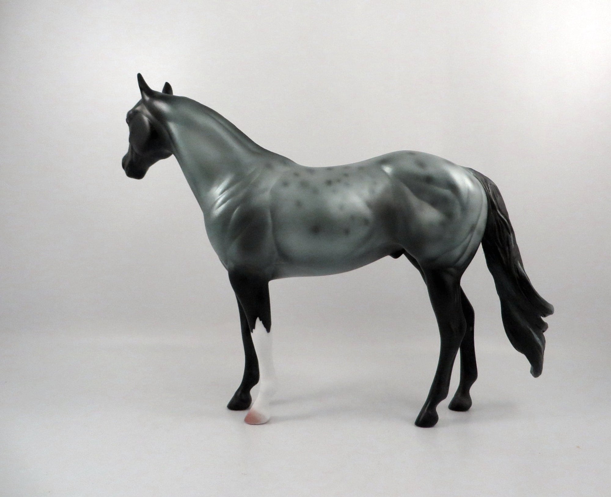 Cosmic Connection-OOAK Roan ISH 2/25/21