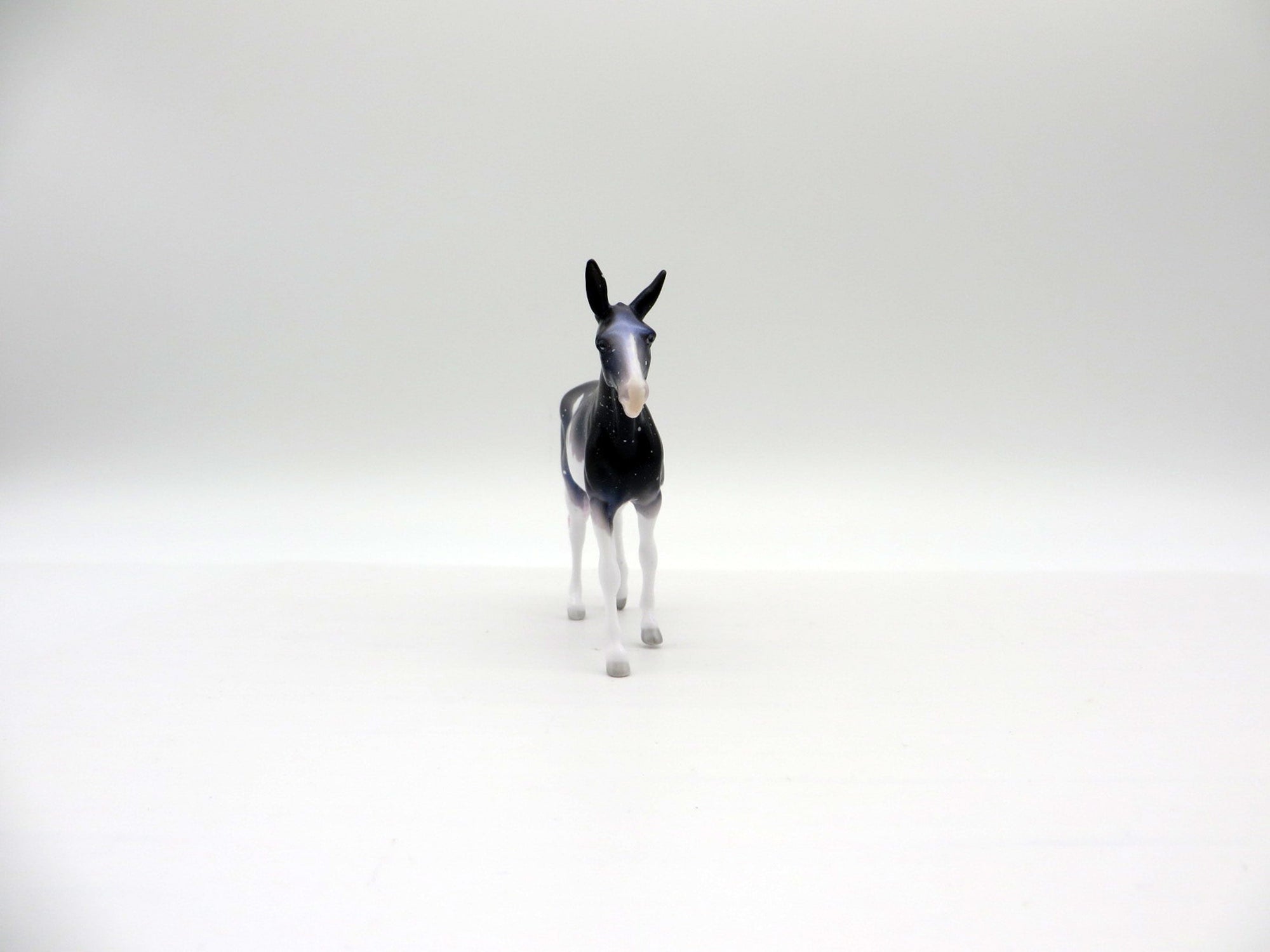 Cosmo Nova-OOAK Mule Chip Deco Painted By Ellen Robbins  6/23/21