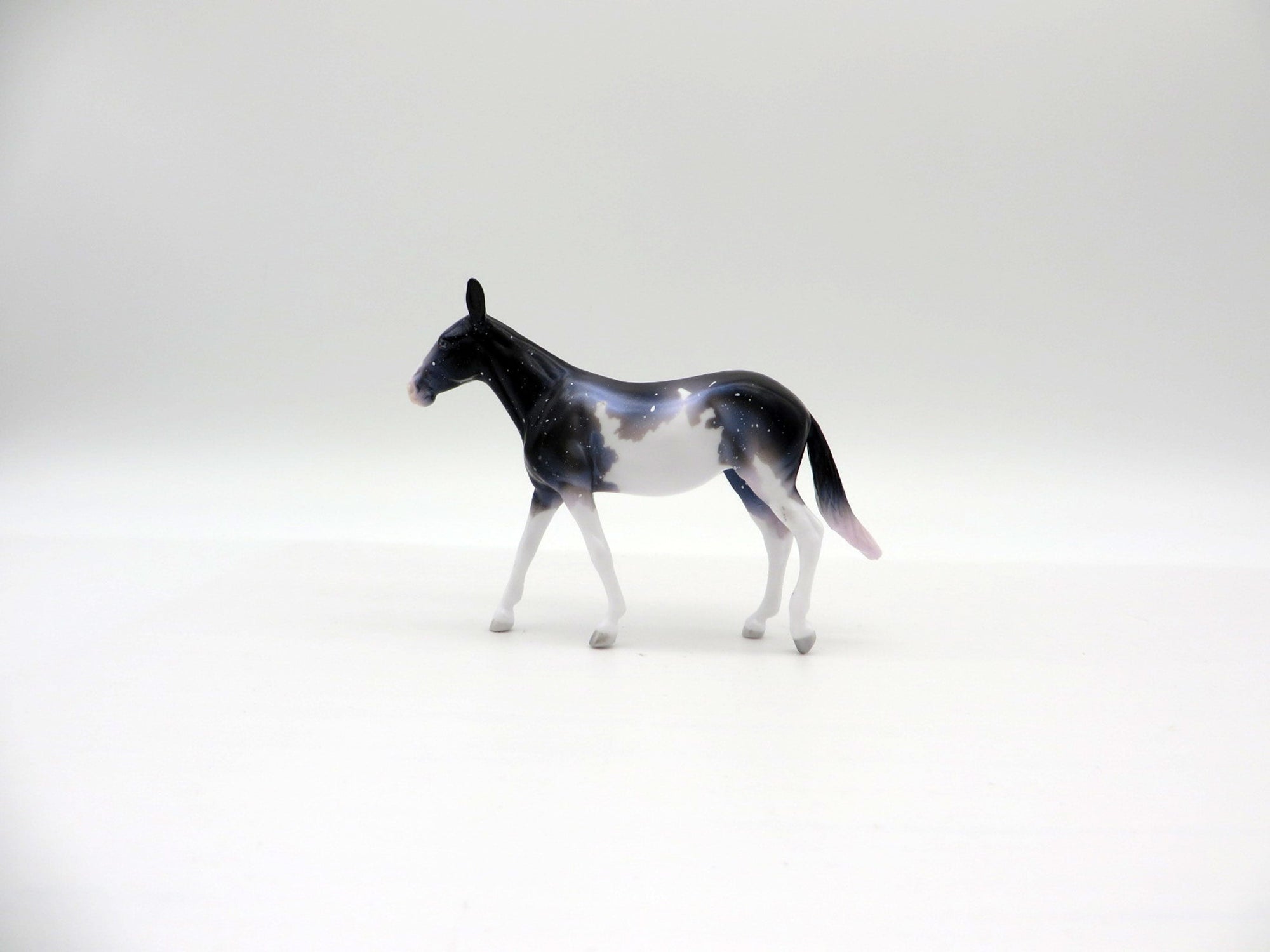 Cosmo Nova-OOAK Mule Chip Deco Painted By Ellen Robbins  6/23/21