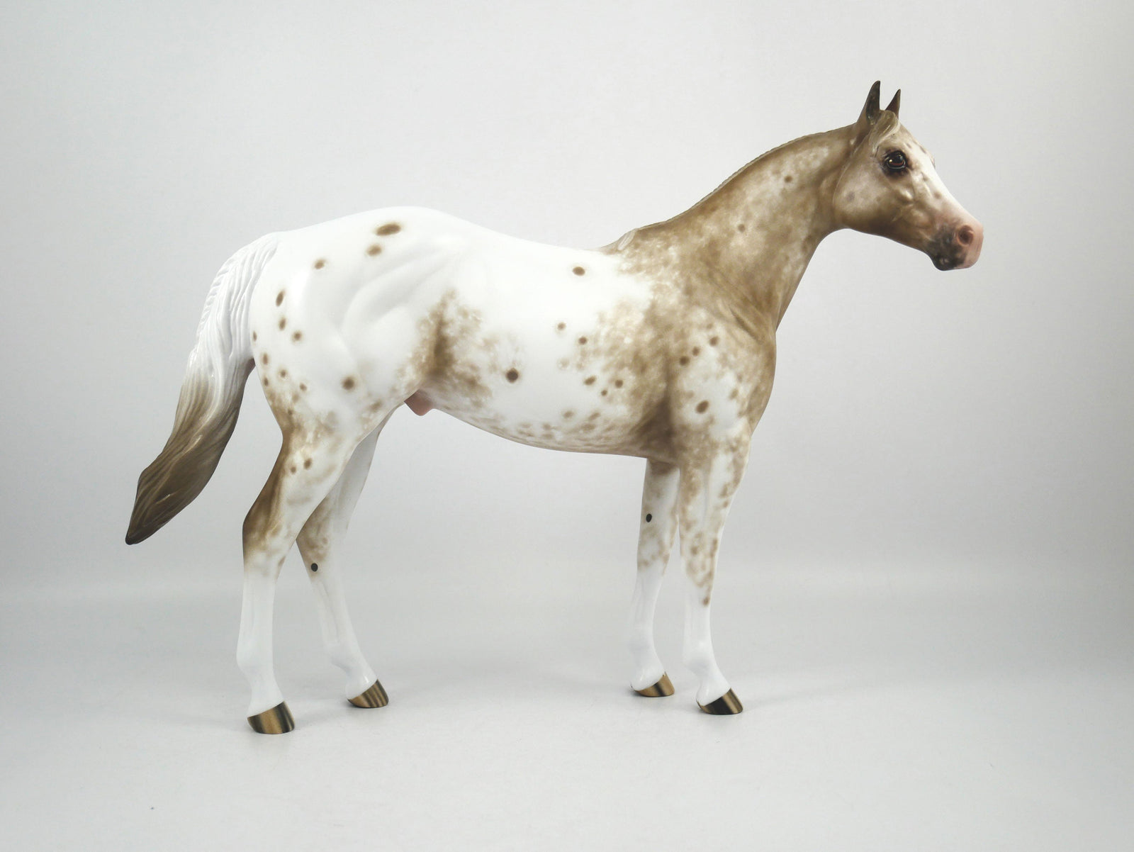 Cosmo-OOAK Bay Appaloosa ISH Painted By Sheryl Leisure 1/15/21