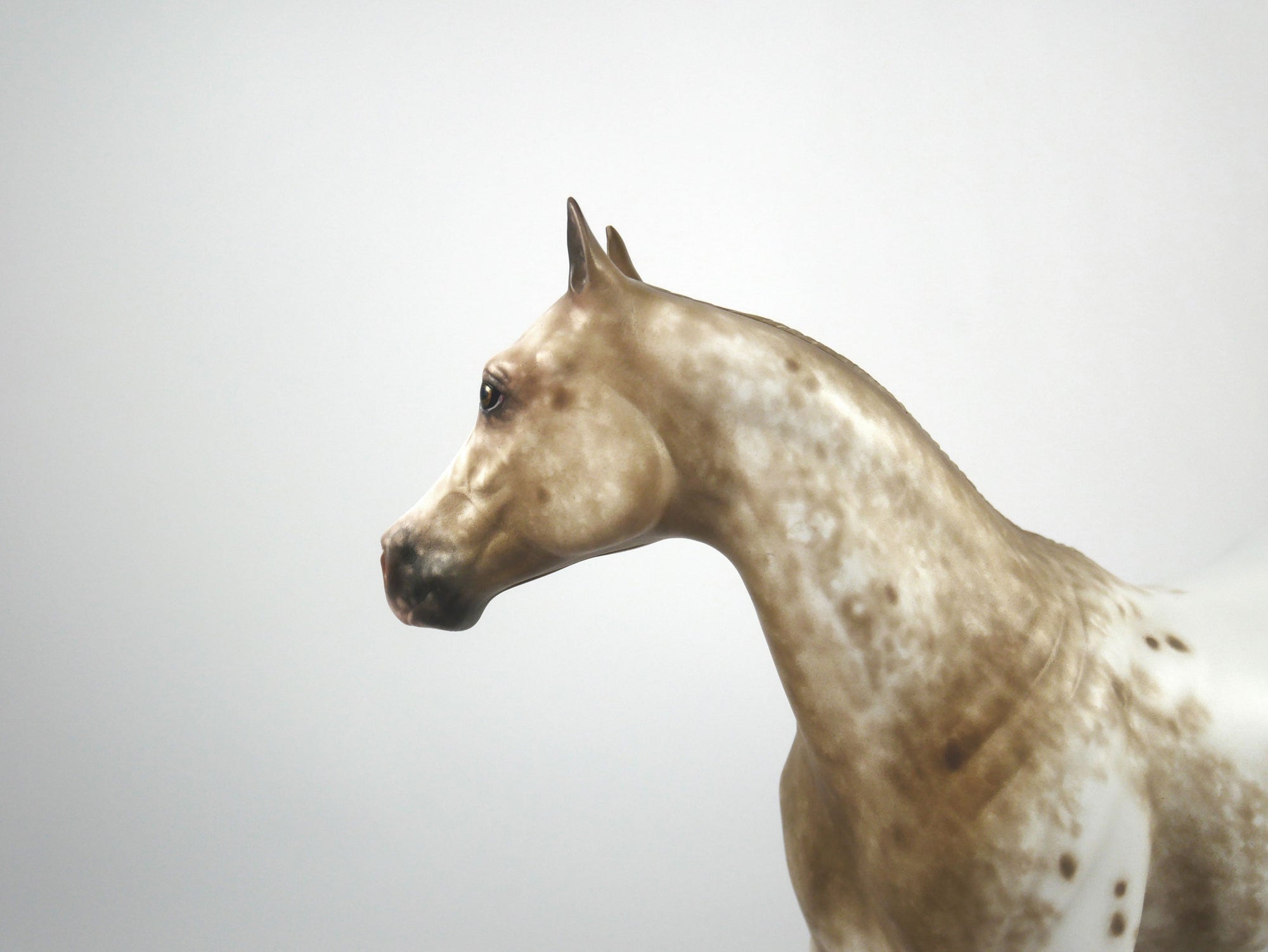Cosmo-OOAK Bay Appaloosa ISH Painted By Sheryl Leisure 1/15/21