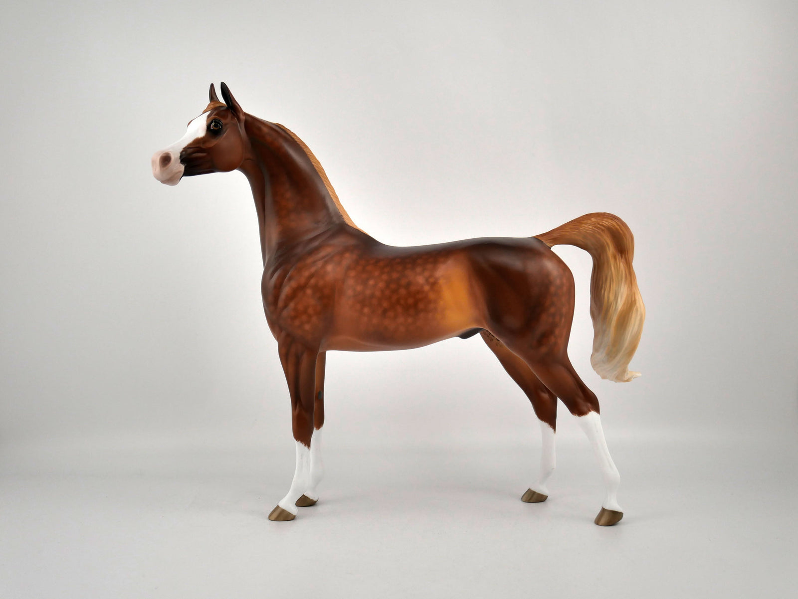 Cousin Eddy-OOAK Dapple Chestnut Arabian Painted By Sheryl Leisure 12/24/20
