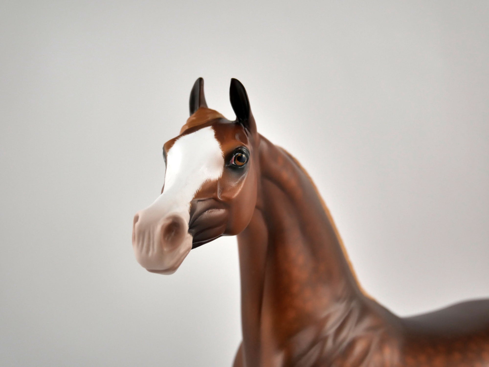 Cousin Eddy-OOAK Dapple Chestnut Arabian Painted By Sheryl Leisure 12/24/20