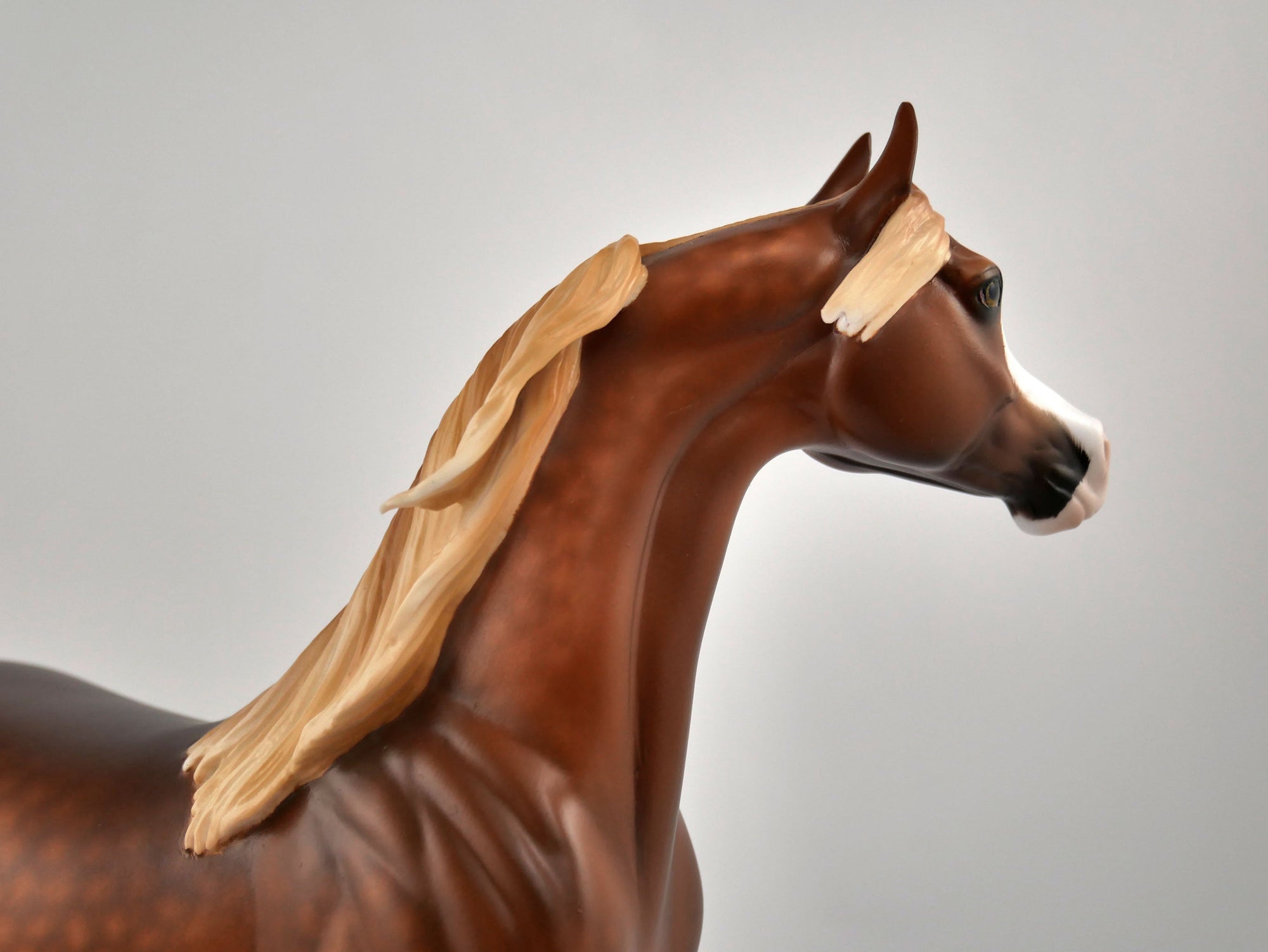 Cousin Eddy-OOAK Dapple Chestnut Arabian Painted By Sheryl Leisure 12/24/20