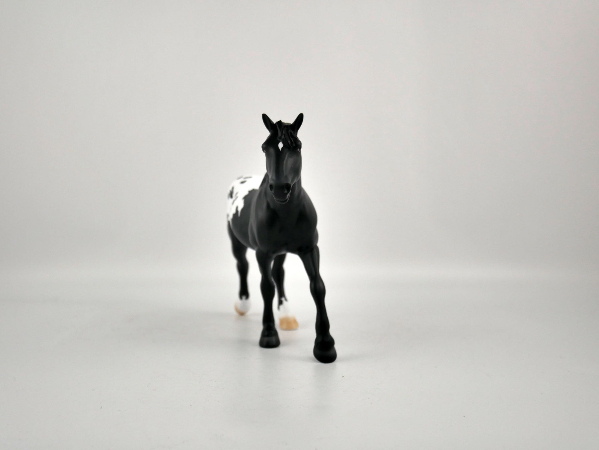 COW COW-OOAK BLACK BLANKET APPALOOSA  PEBBLE DRAFTER BY ELLEN ROBBINS 12/09/20