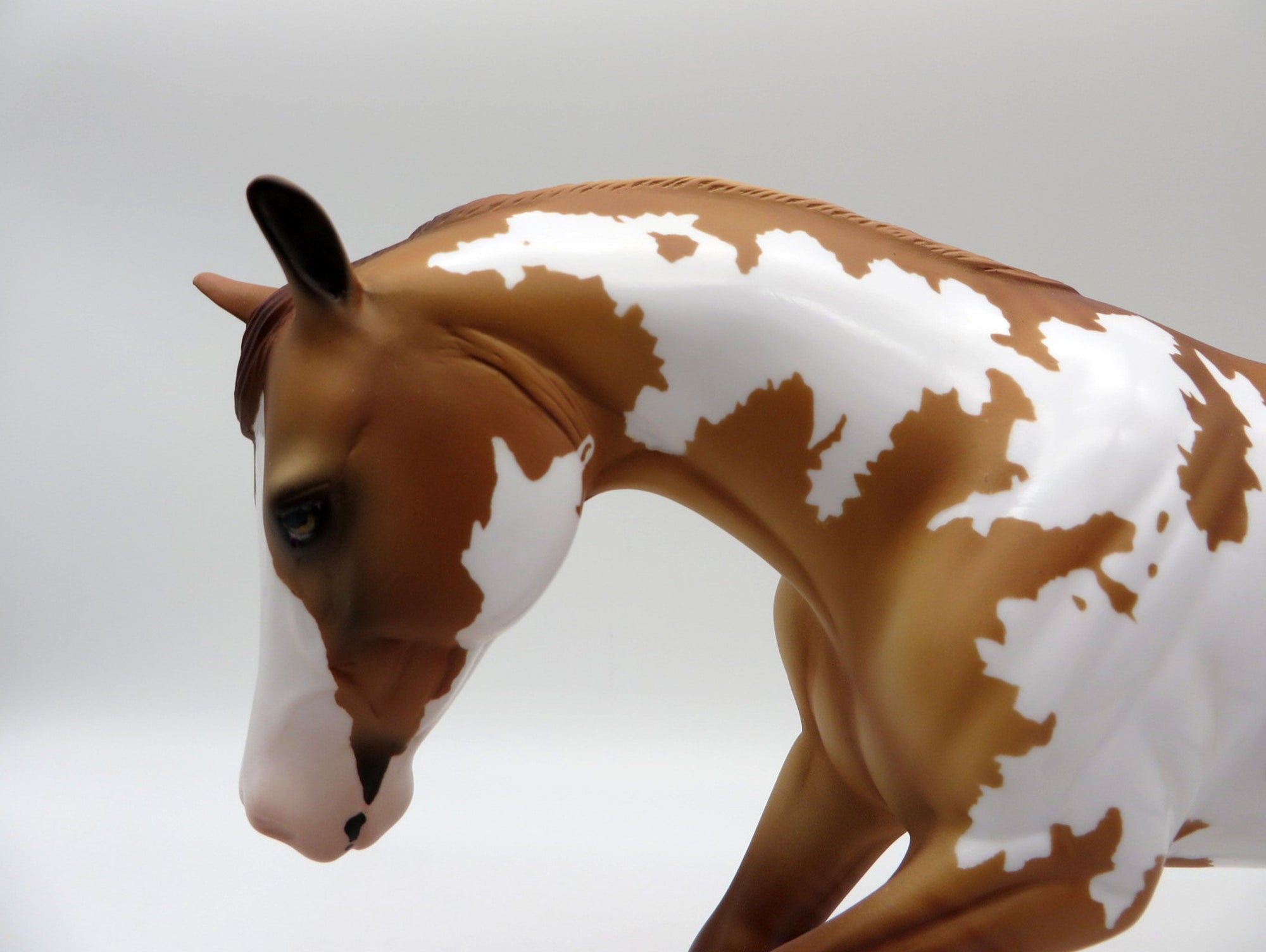 Cowboy-OOAK Red Dun Overo Performance Horse Painted By Audrey Dixon 5/24/21